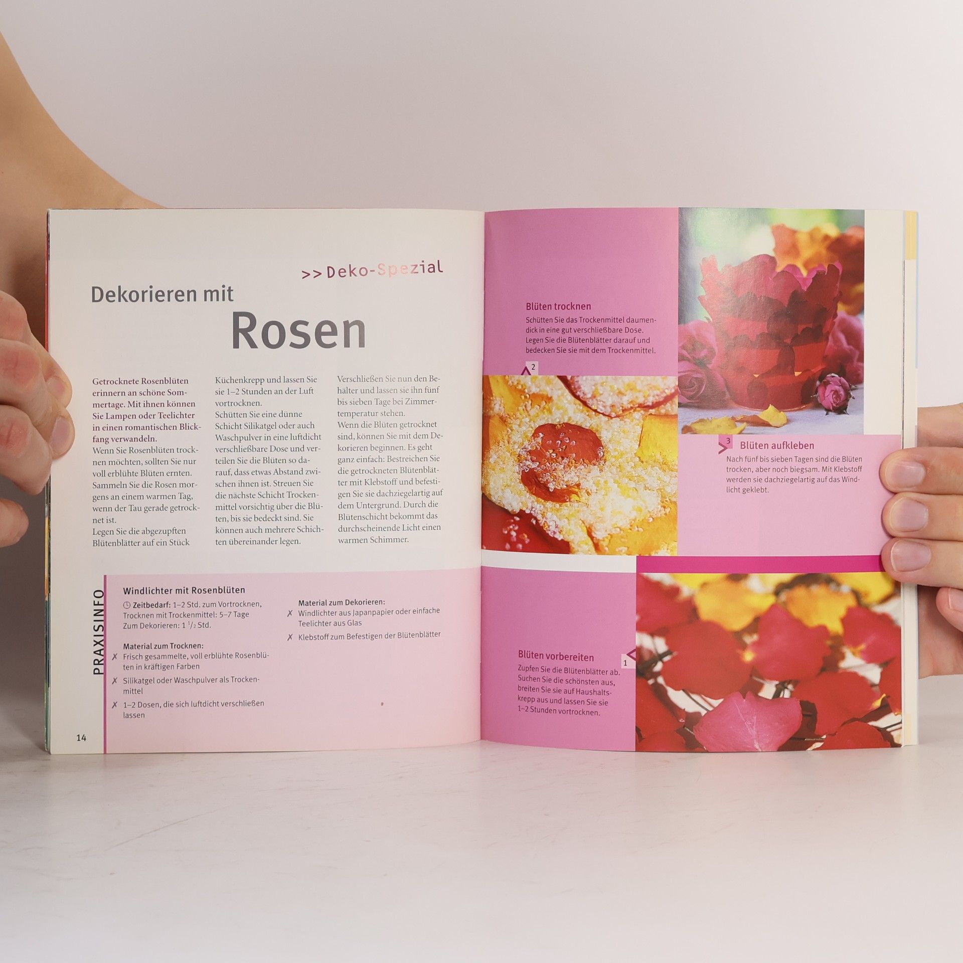 Heide Rau Rosen