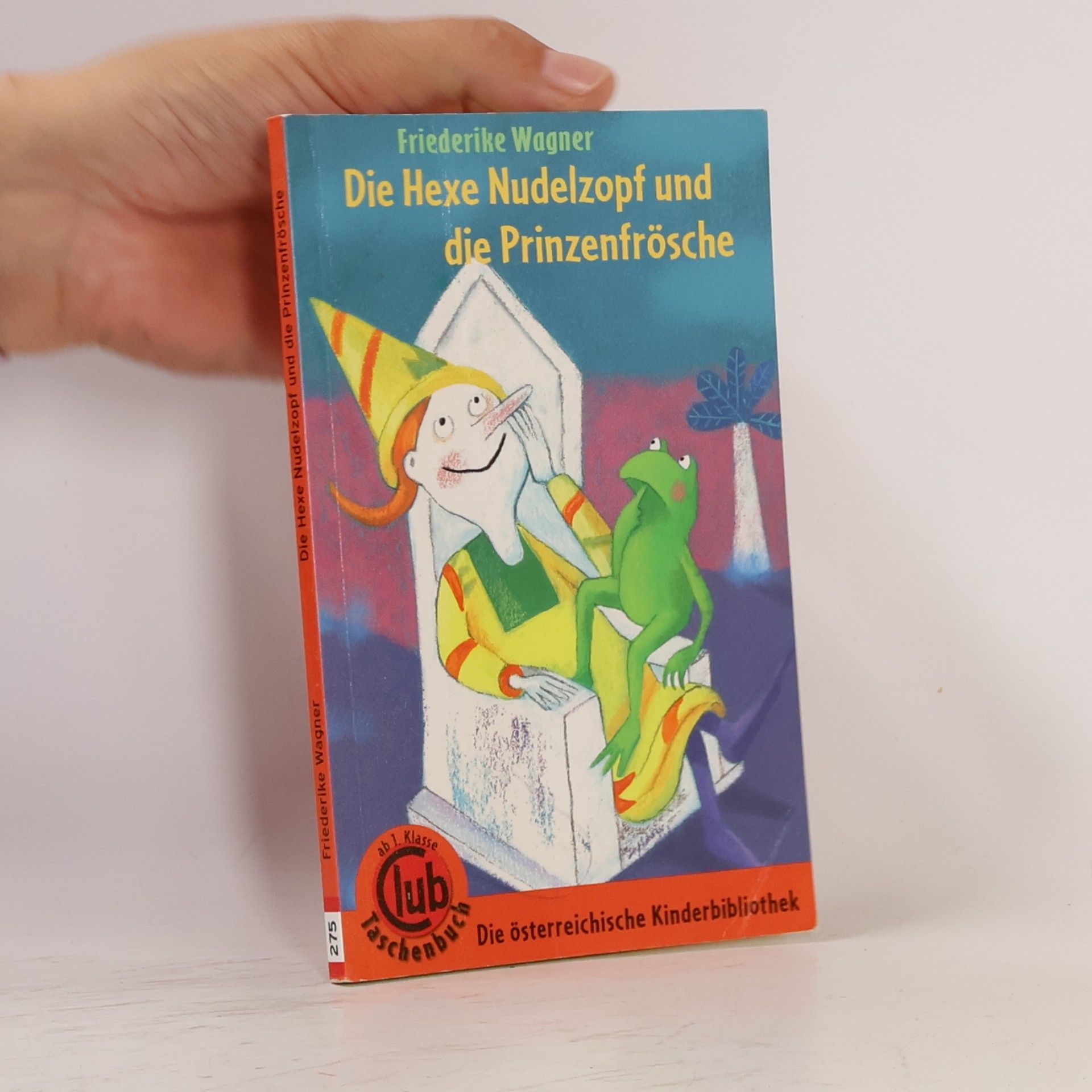 Friederike Wagner Die Hexe Nudelzopf und die Prinzenfrösche