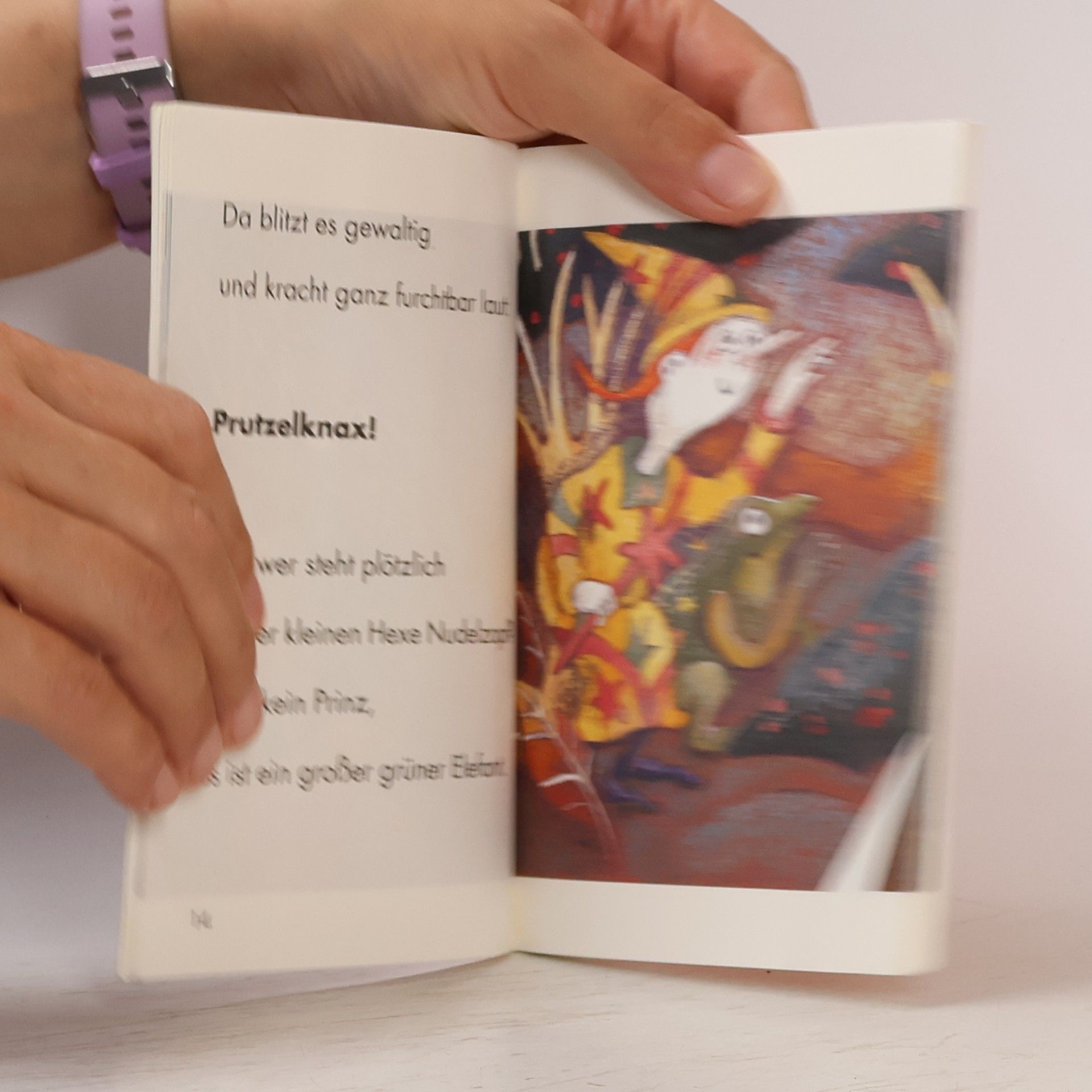 Friederike Wagner Die Hexe Nudelzopf und die Prinzenfrösche