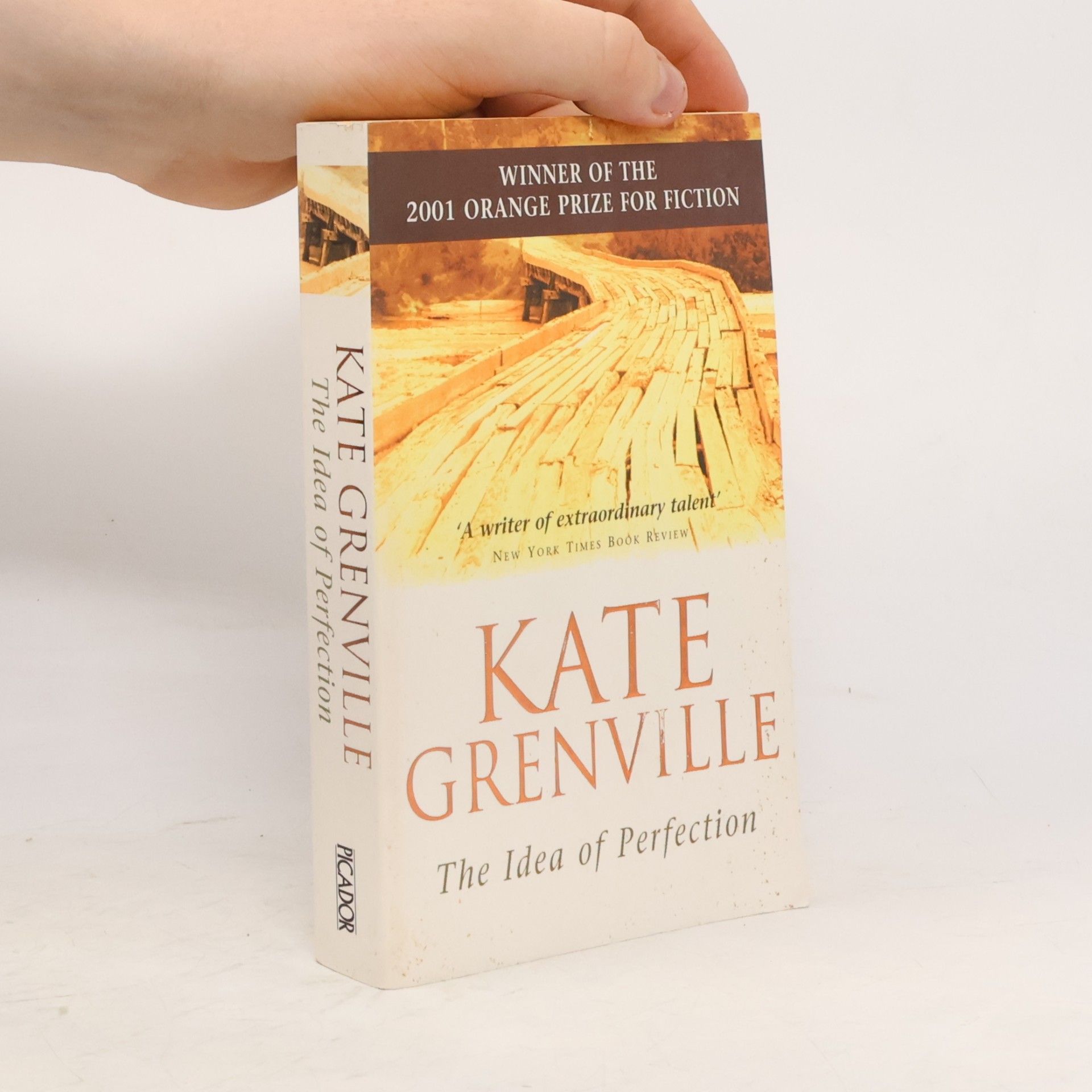 Kate Grenville The Idea of Perfection