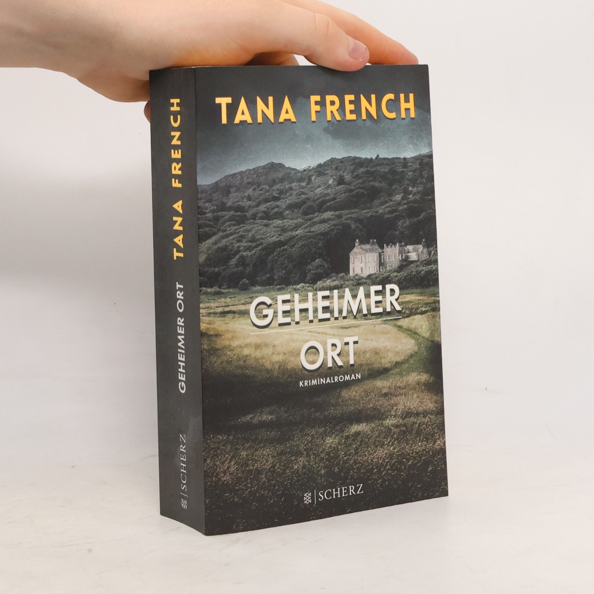 Tana French Geheimer Ort