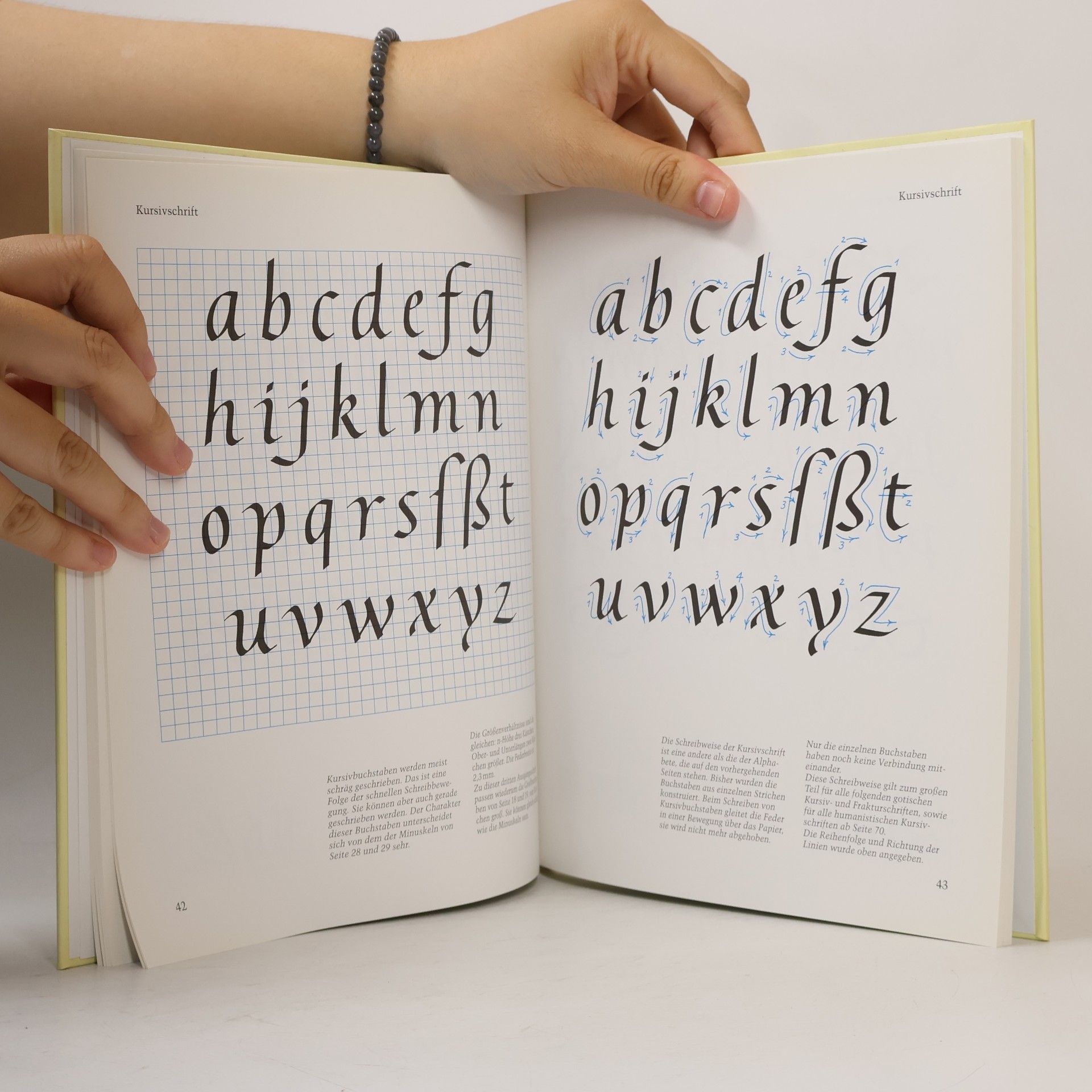 Julius de Goede Die schönsten kalligraphischen Alphabete