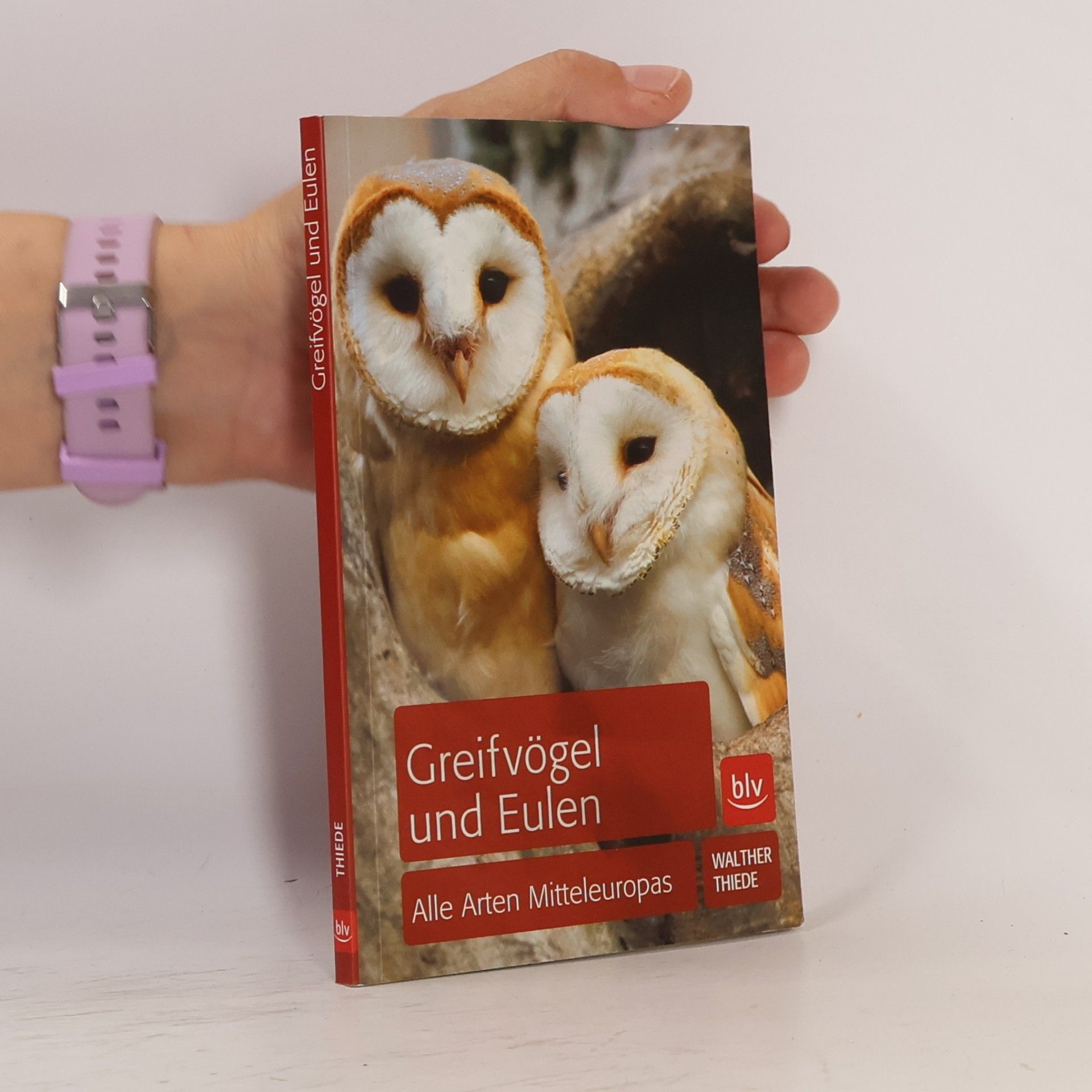 Walther Thiede Greifvögel und Eulen
