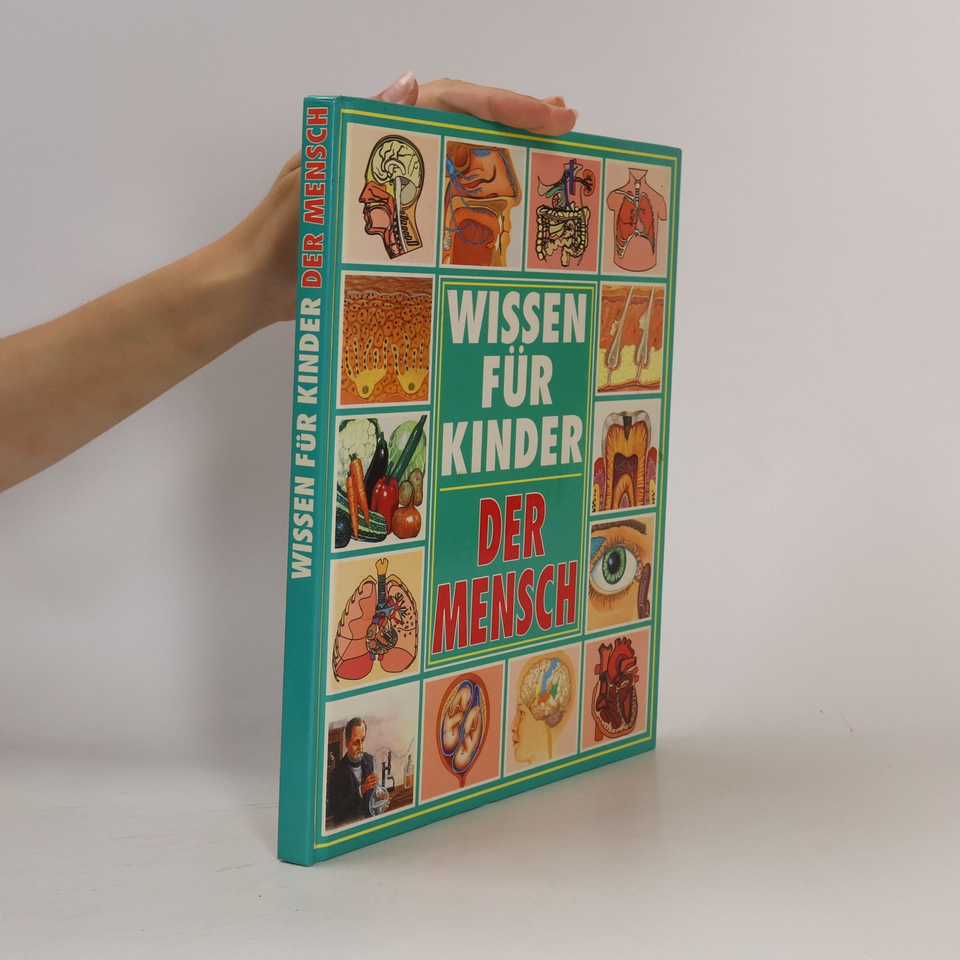 Wissen für Kinder. Der Mensch