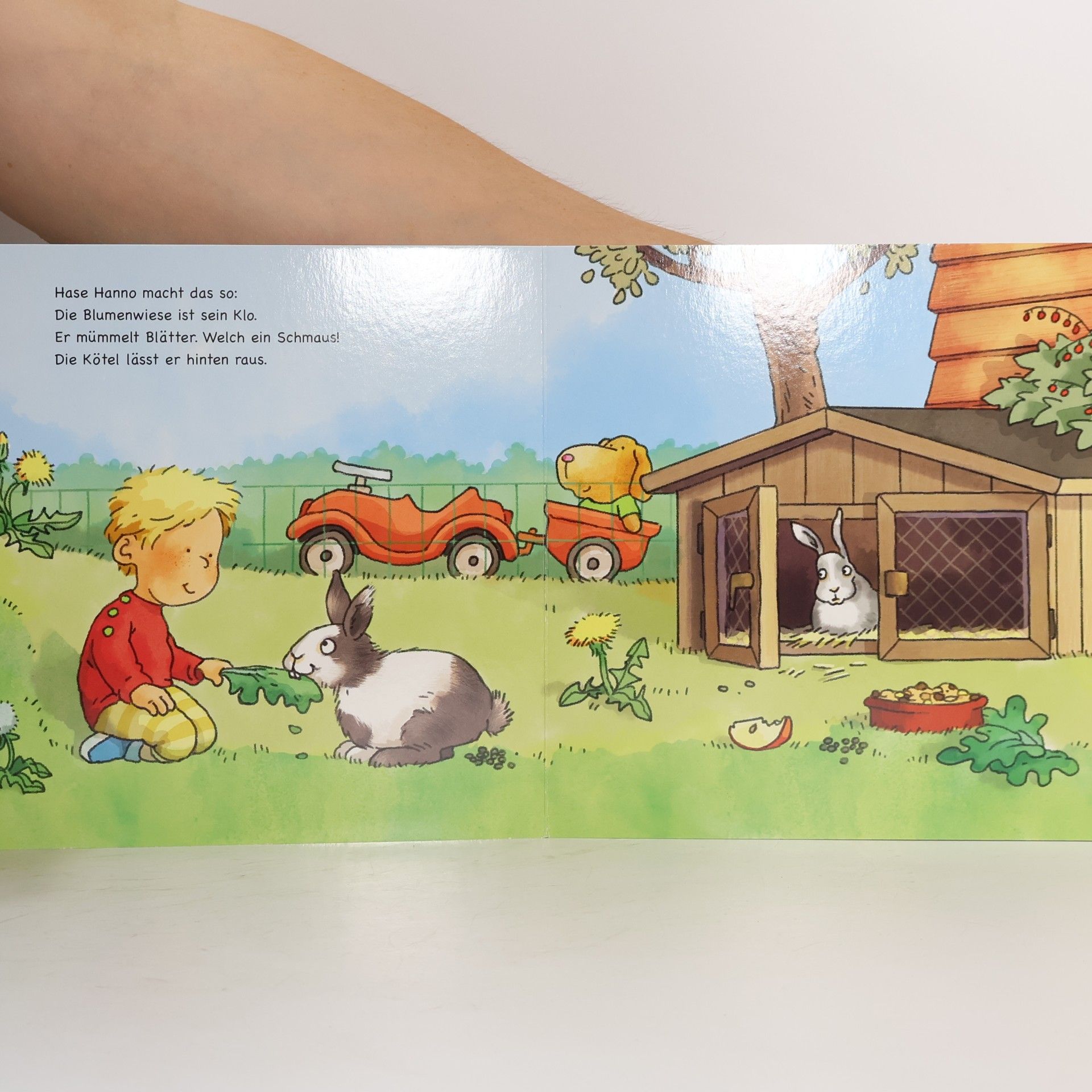 Kathrin-Lena Orso Wer geht wo aufs Klo?