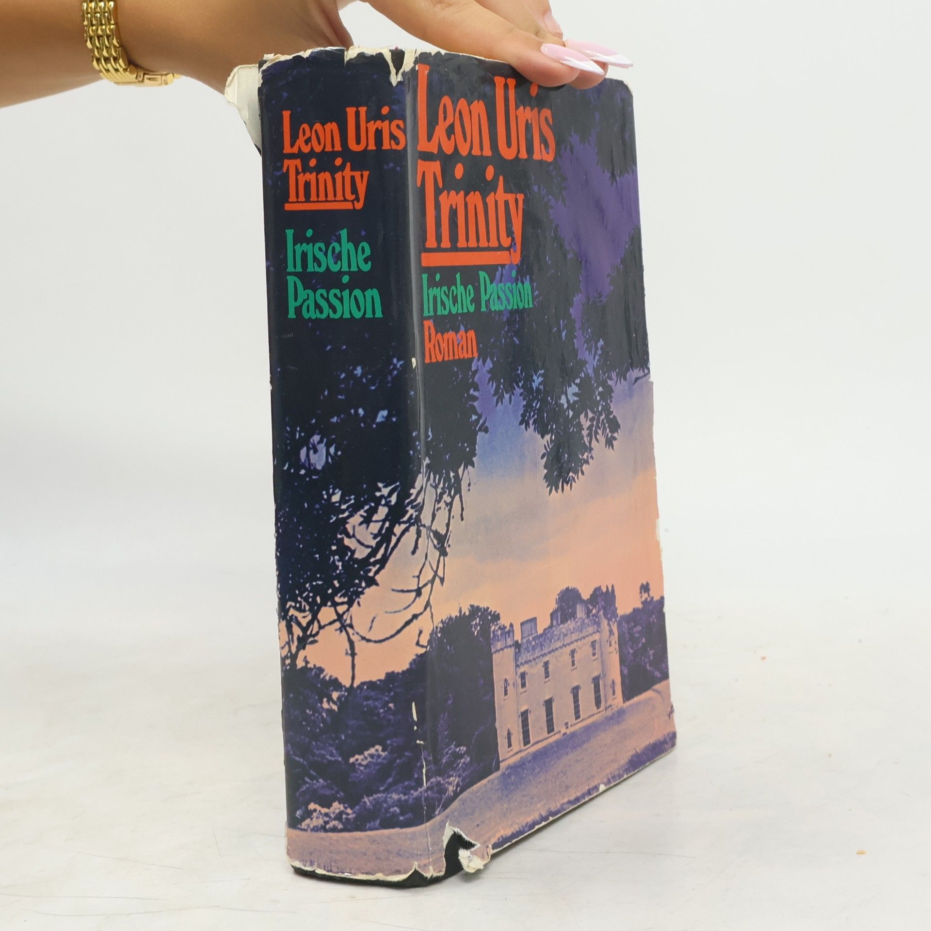 Leon Uris Trinity. Irische Passion