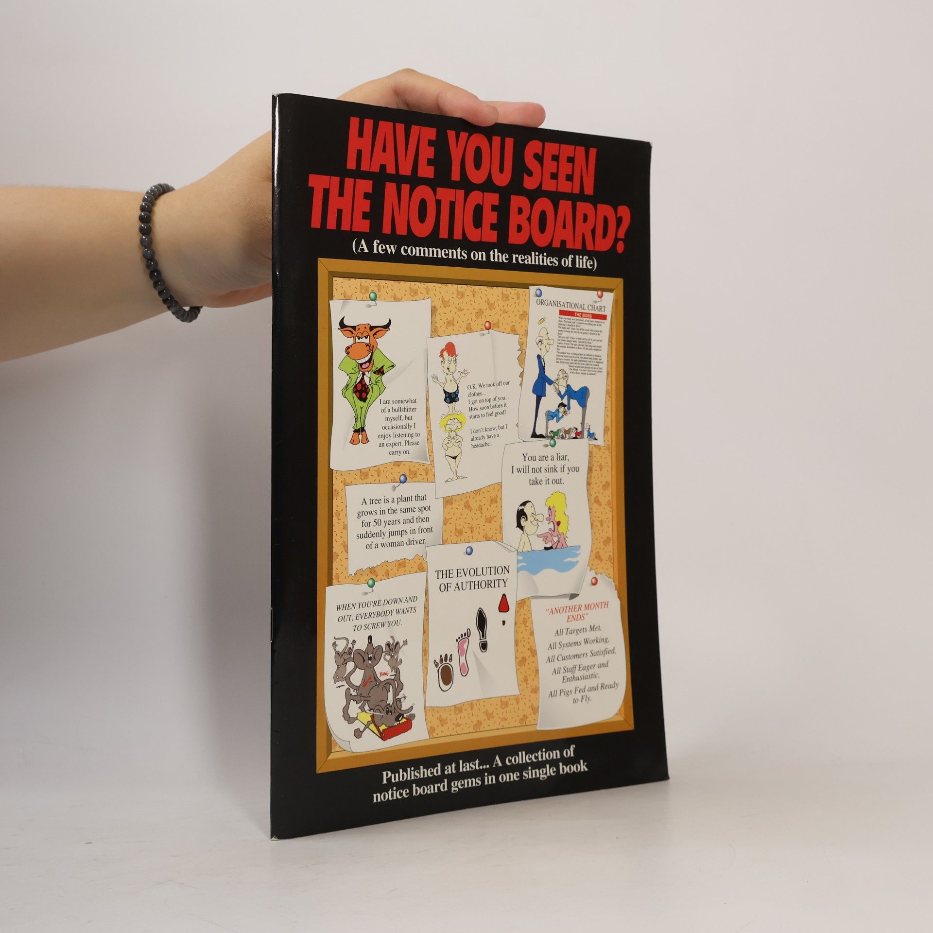 Brian A. Lee-Blackmore Have You Seen the Notice Board?