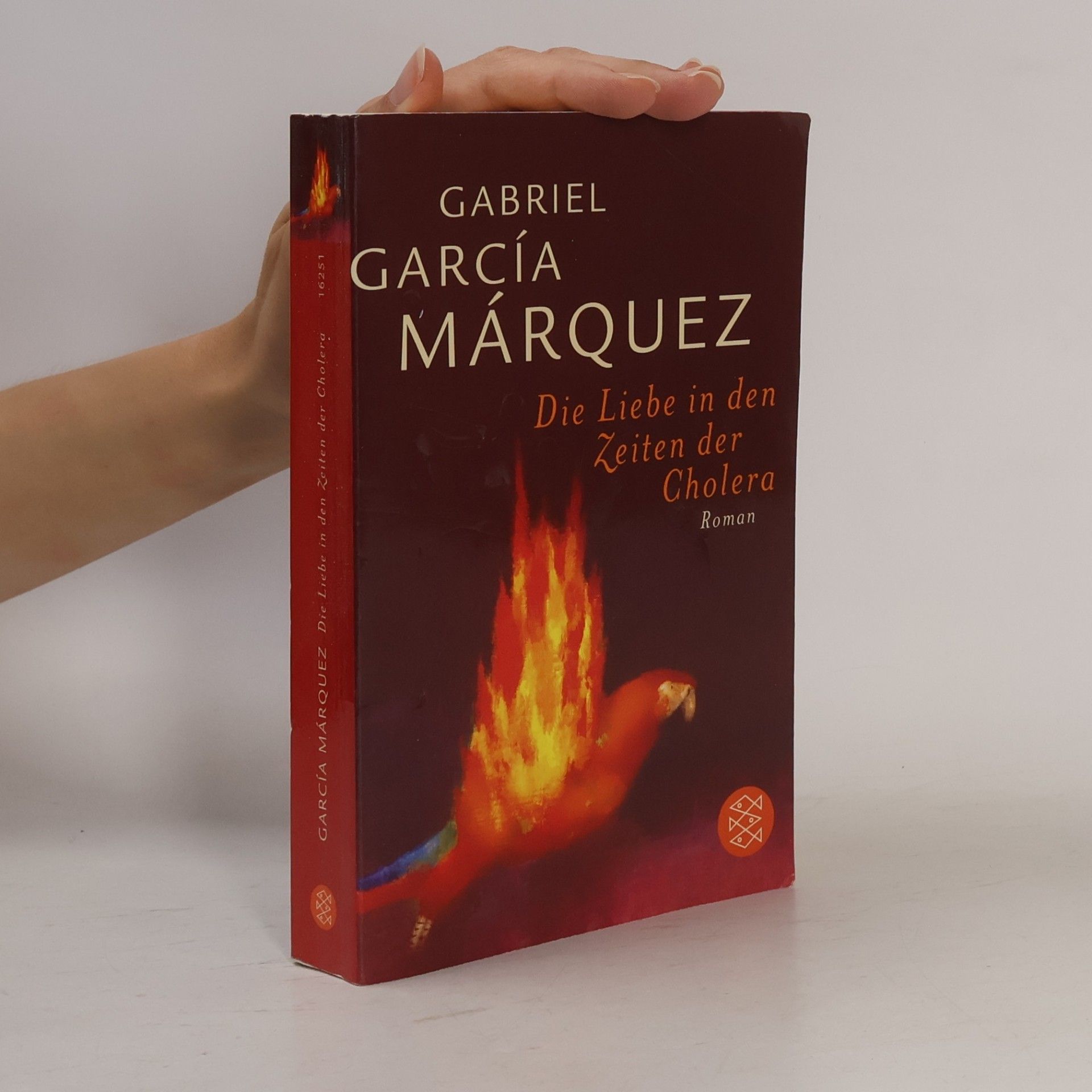 Gabriel García Márquez Die Liebe in den Zeiten der Cholera