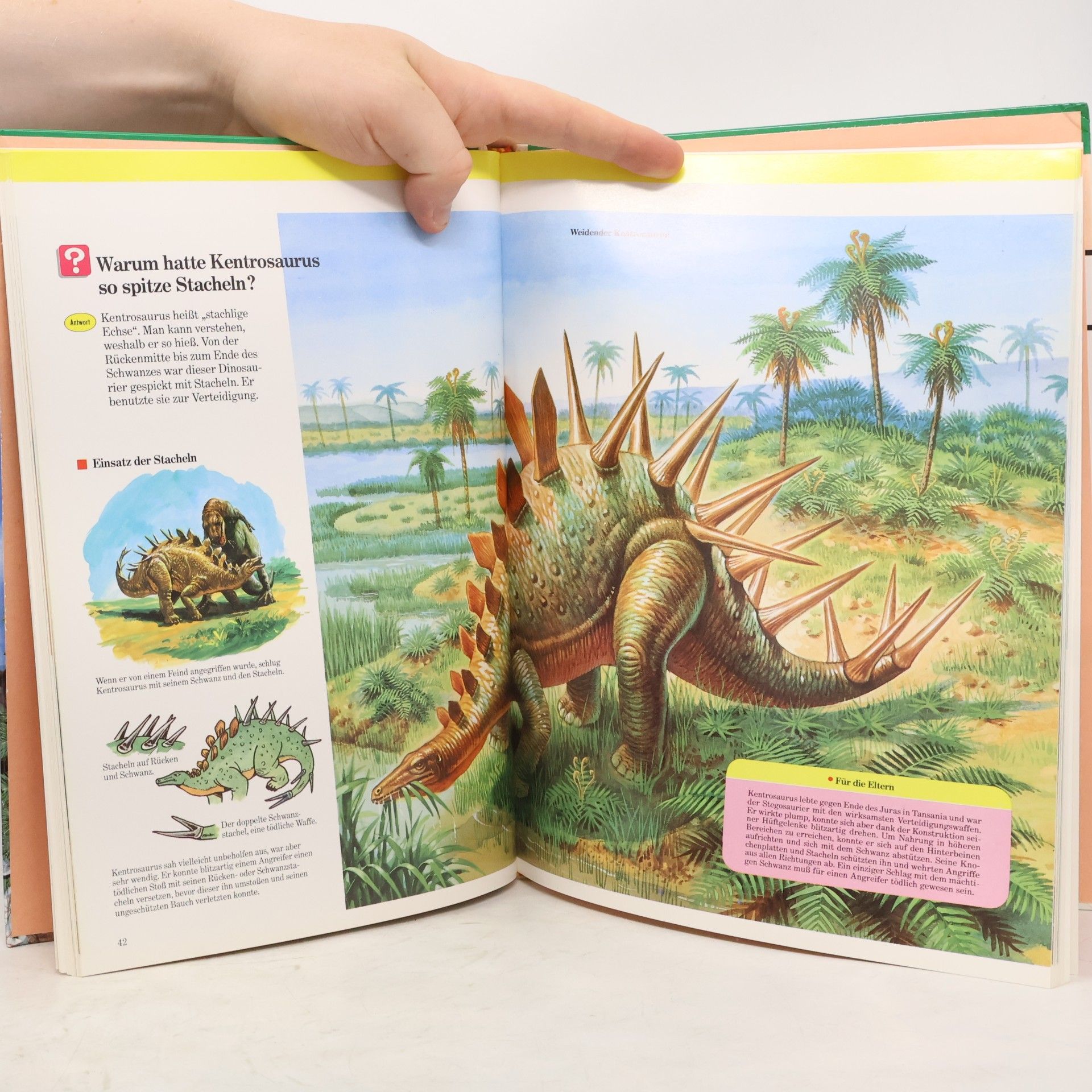 Auteurscollectief Die Welt der Dinosaurier