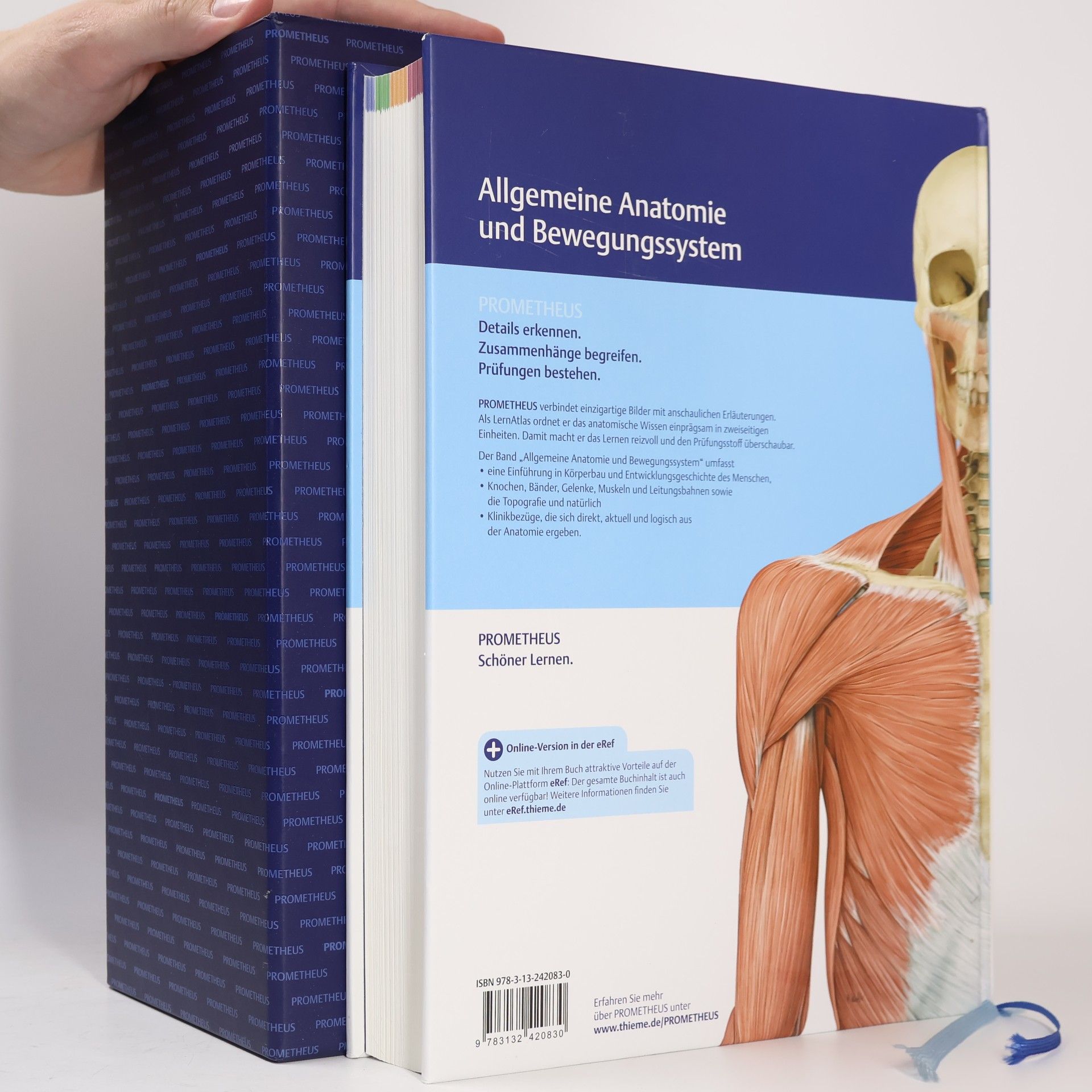 Michael Schünke Allgemeine Anatomie und Bewegungssystem