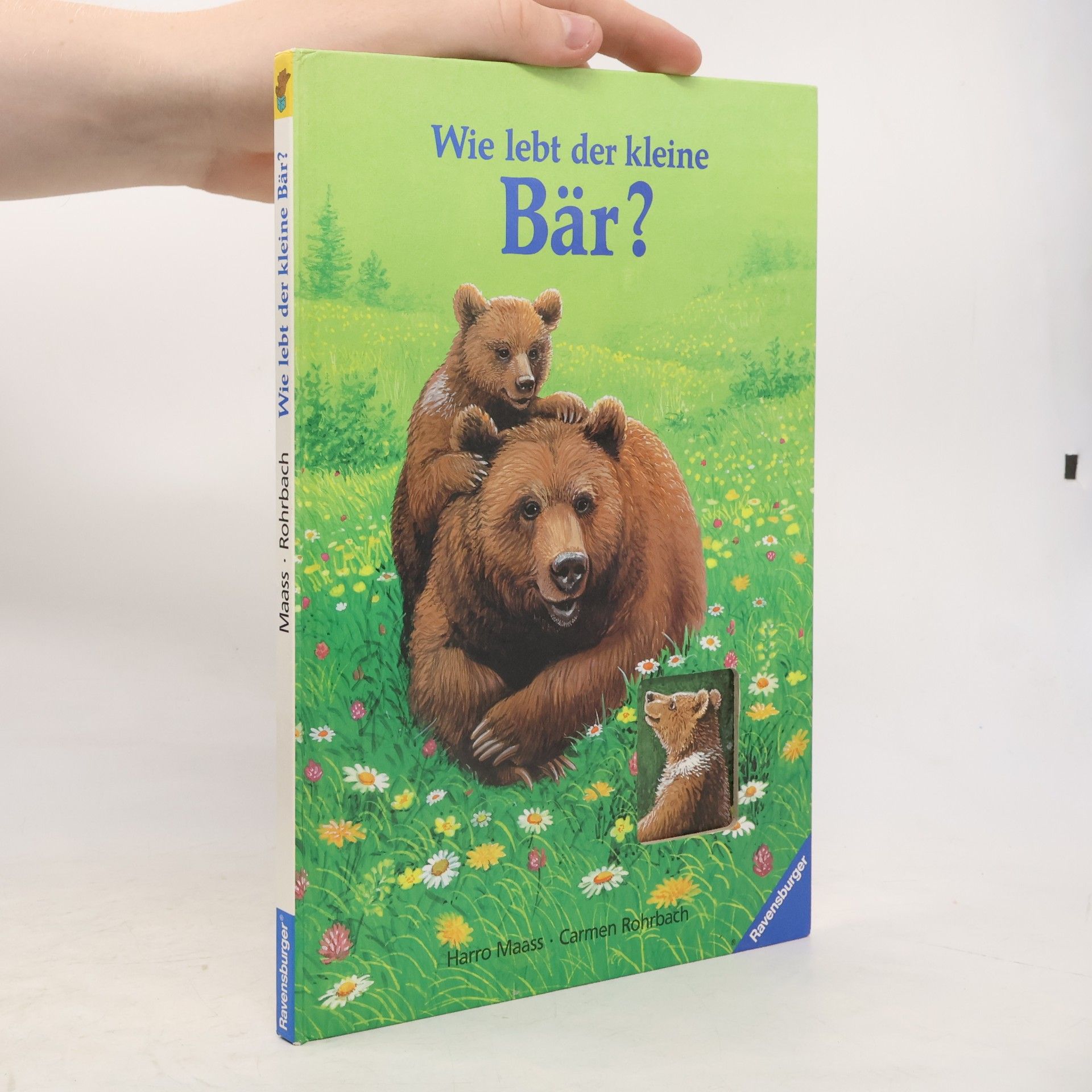 Harro Maass Wie lebt der kleine Bär?