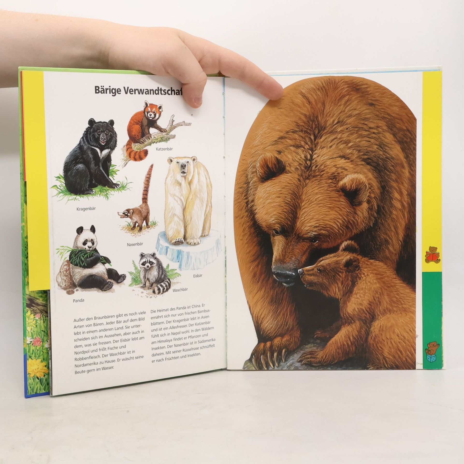 Harro Maass Wie lebt der kleine Bär?