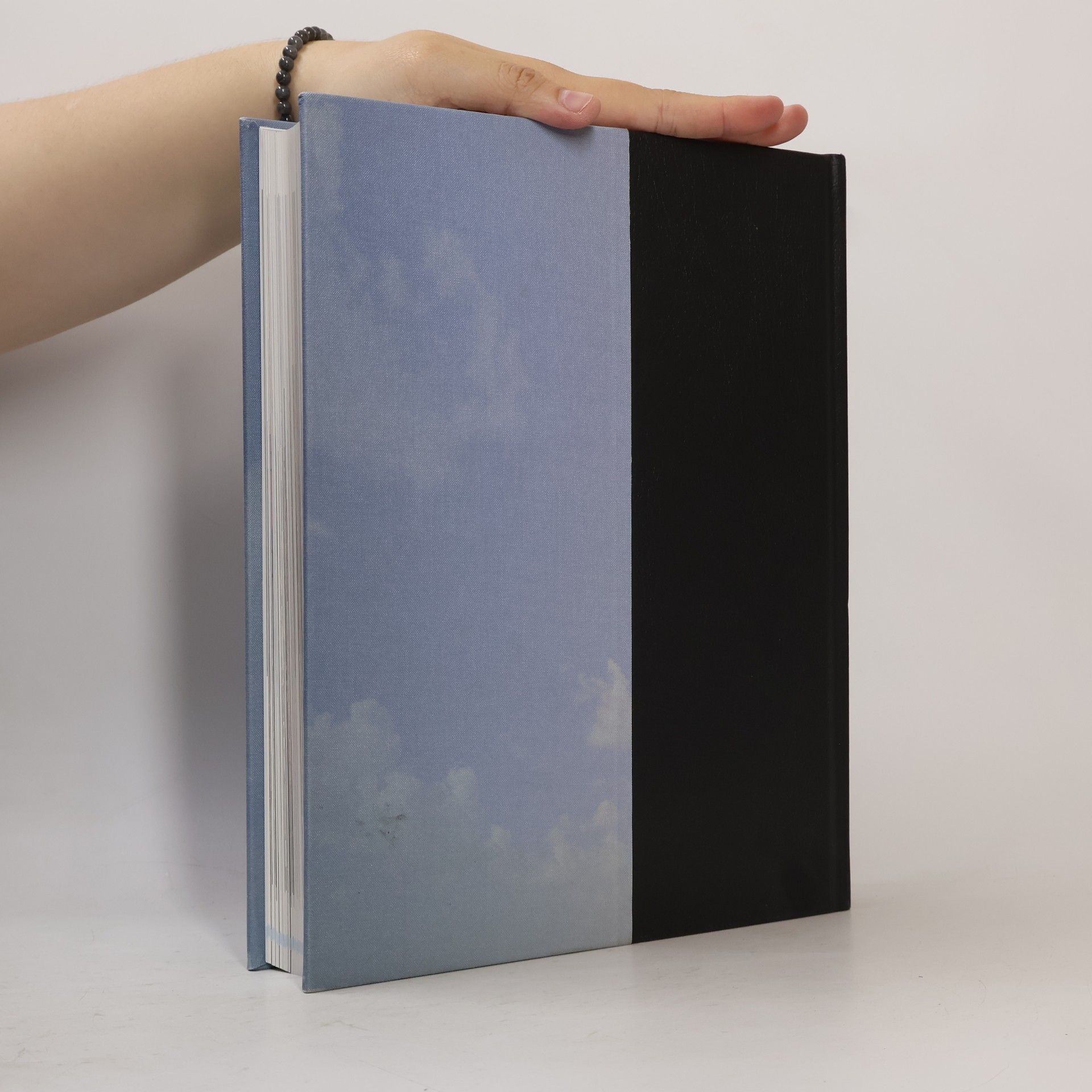 Collectif d'auteurs Brockhaus Horizonte