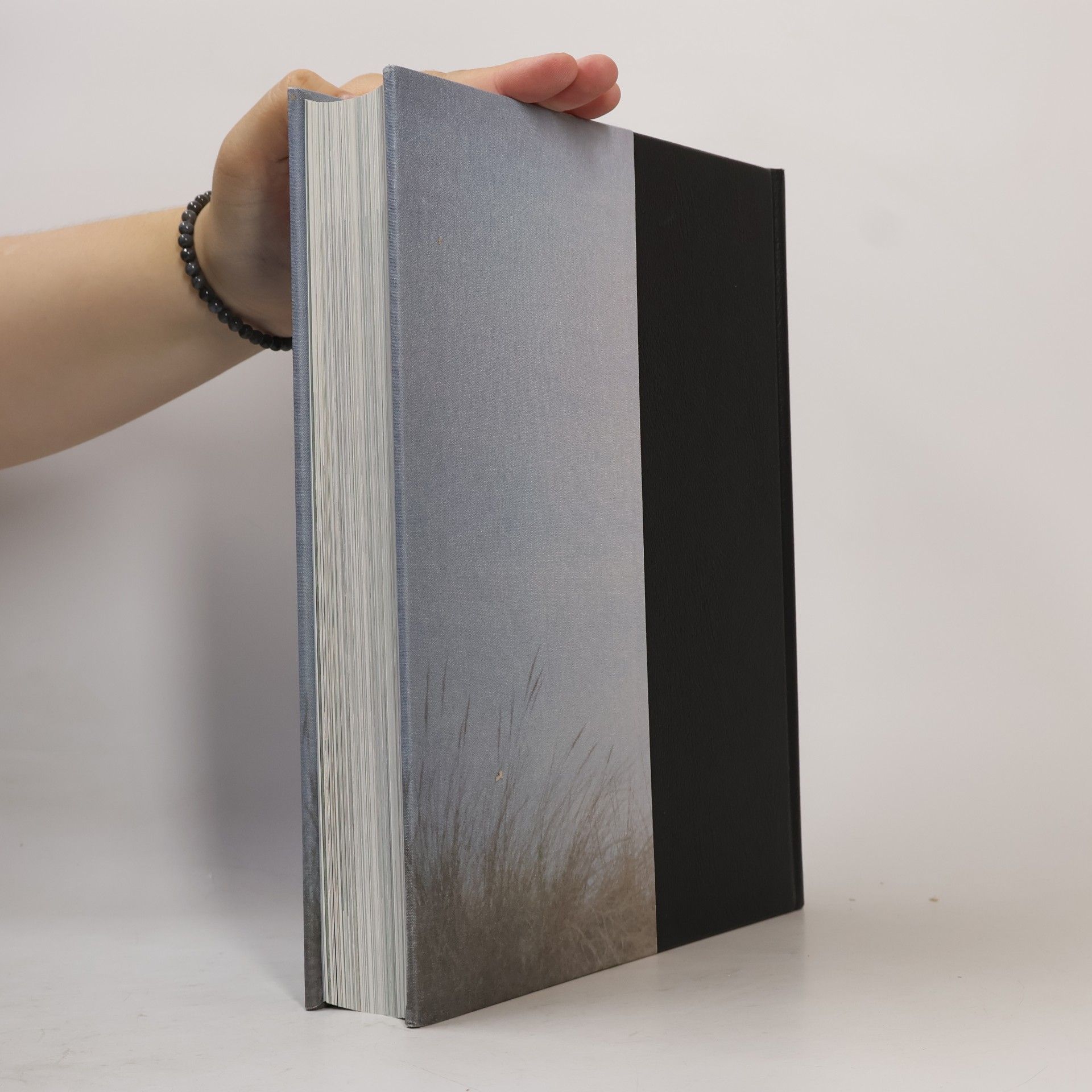 Petra Niebuhr Timpe Brockhaus Horizonte