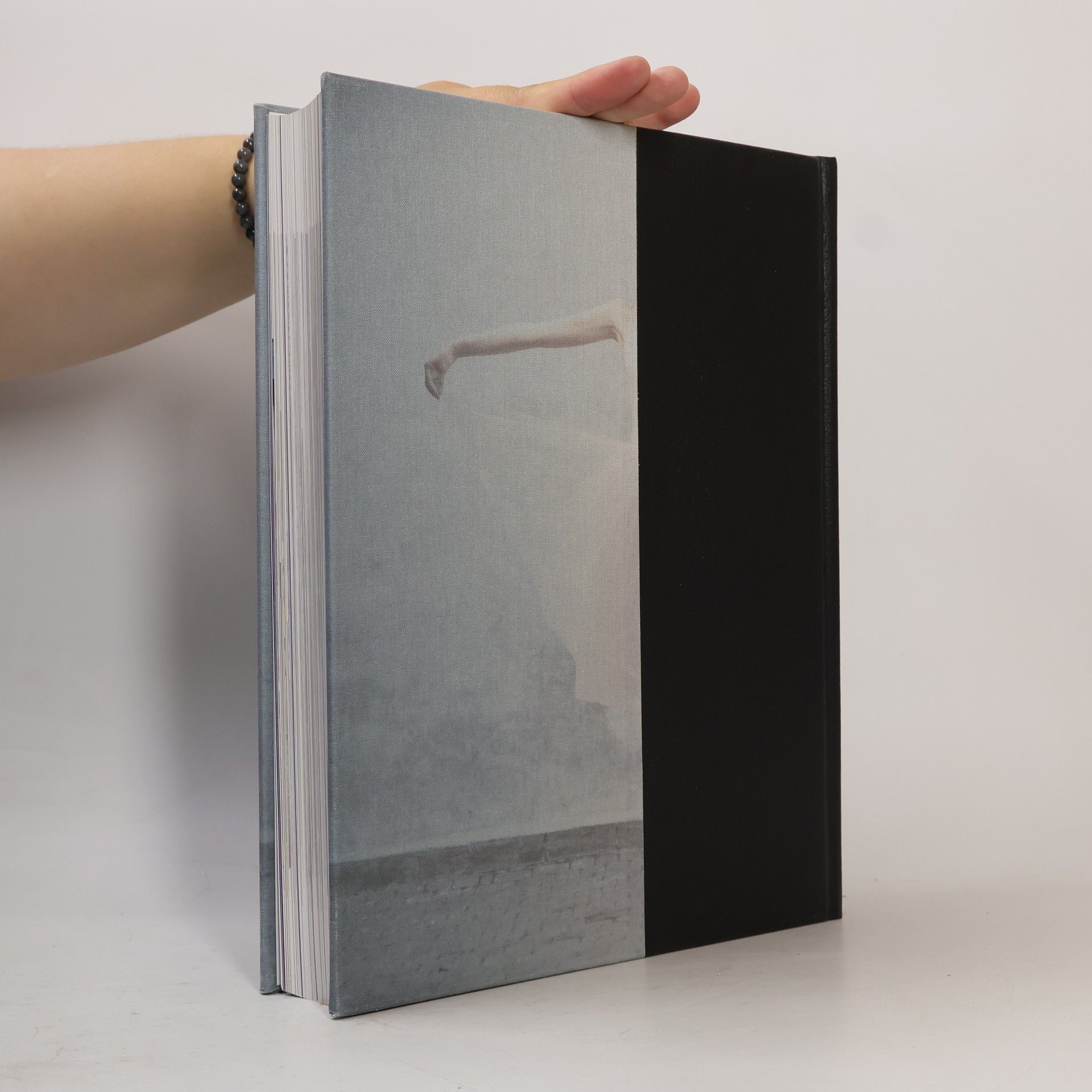 Petra Niebuhr Timpe Brockhaus Horizonte