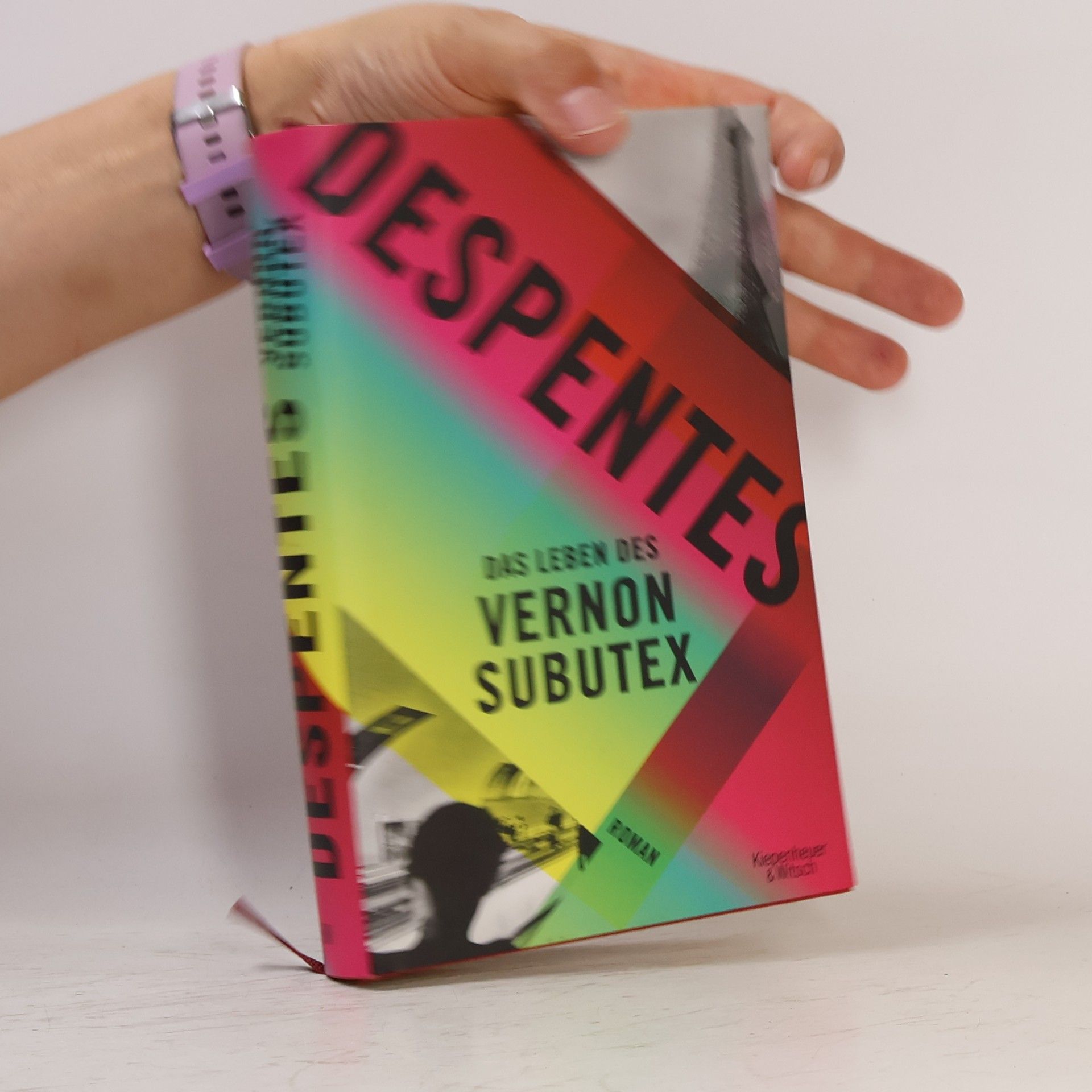 Virginie Despentes Das Leben des Vernon Subutex 1