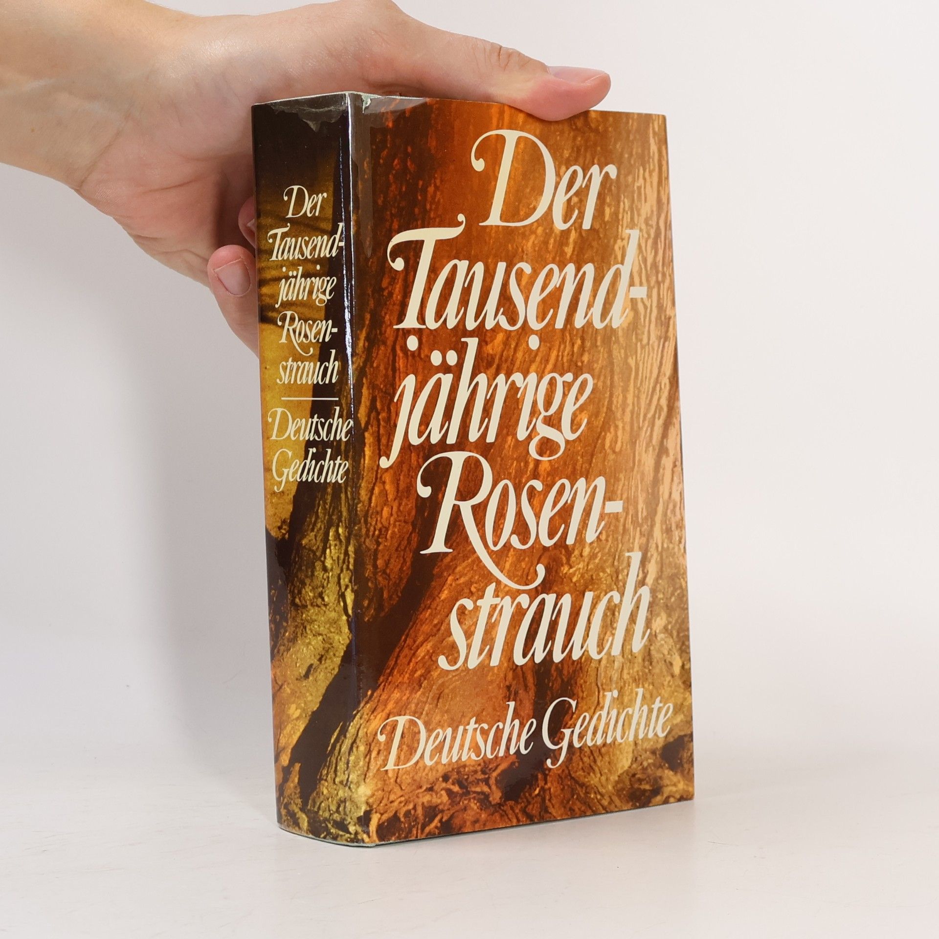 AA.VV. Der Tausendjährige Rosenstrauch