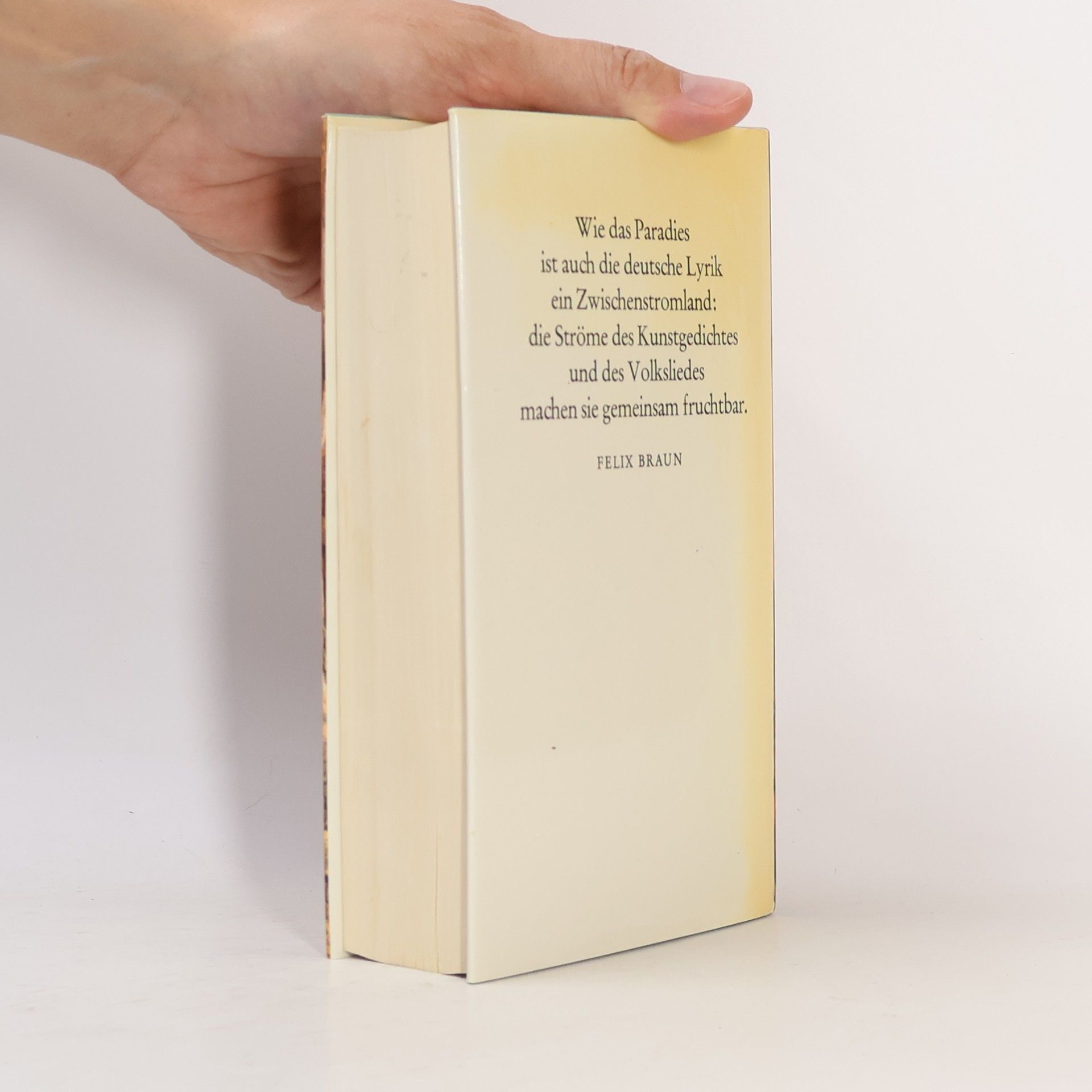 Collectif d'auteurs Der Tausendjährige Rosenstrauch