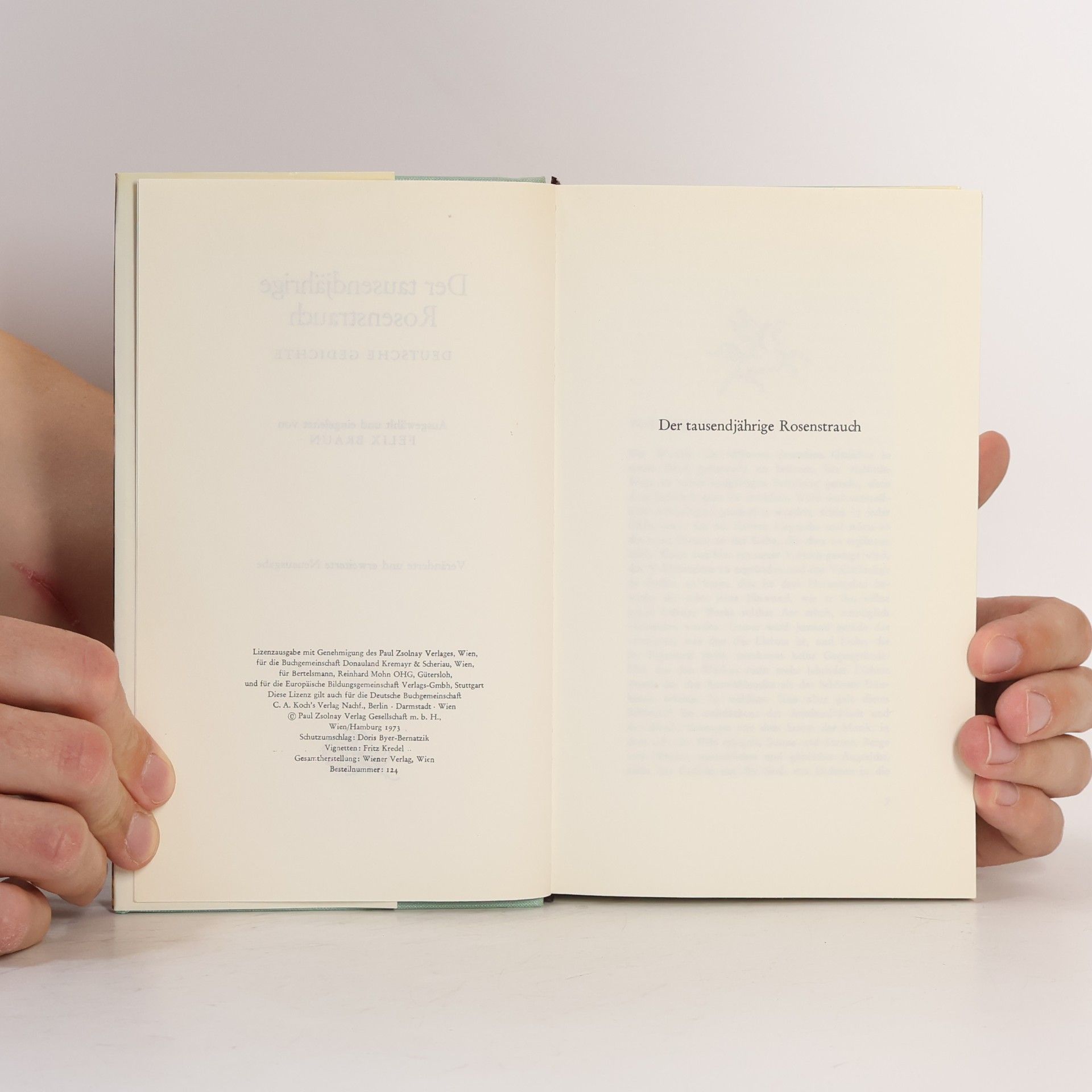Collectif d'auteurs Der Tausendjährige Rosenstrauch