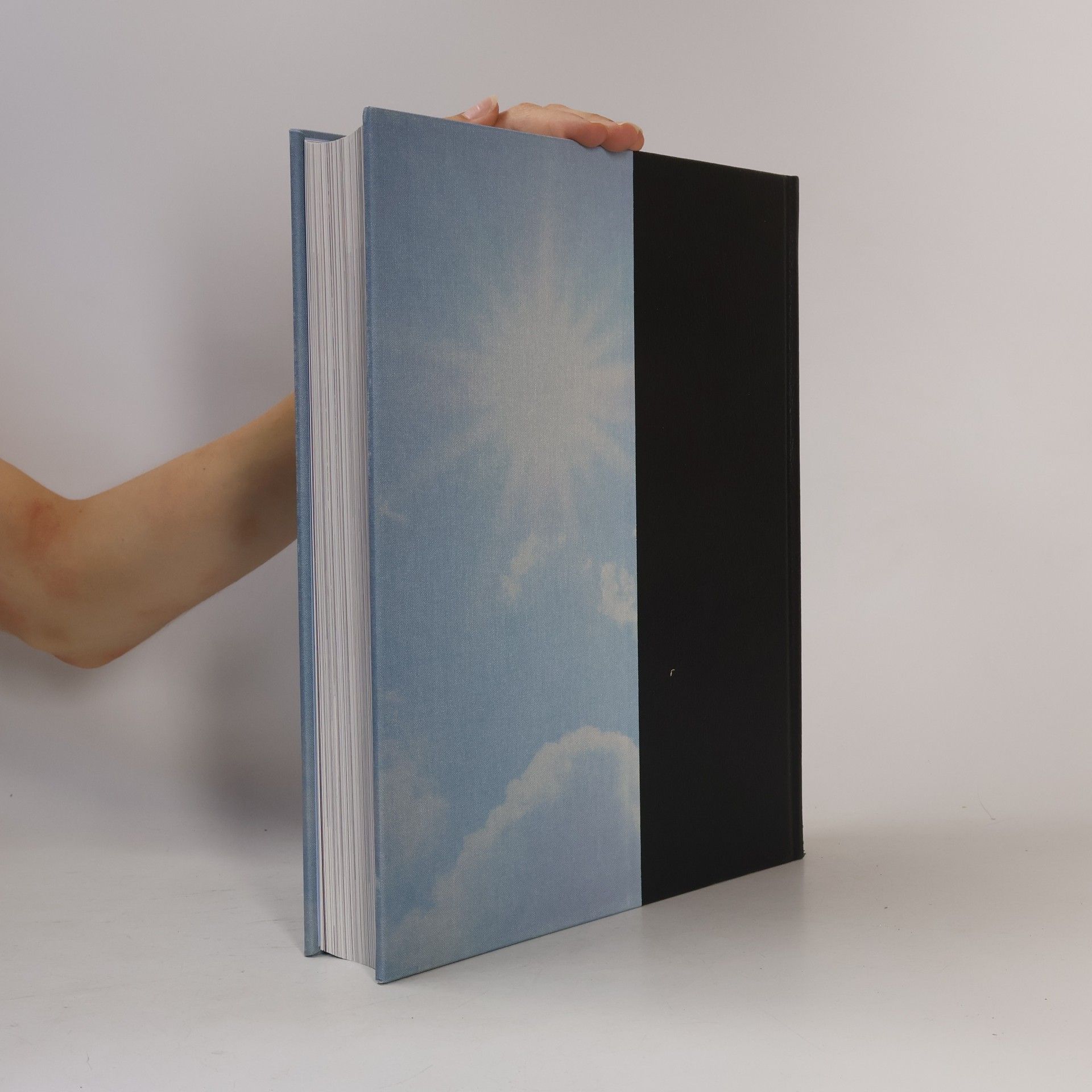 Petra Niebuhr Timpe Brockhaus Horizonte