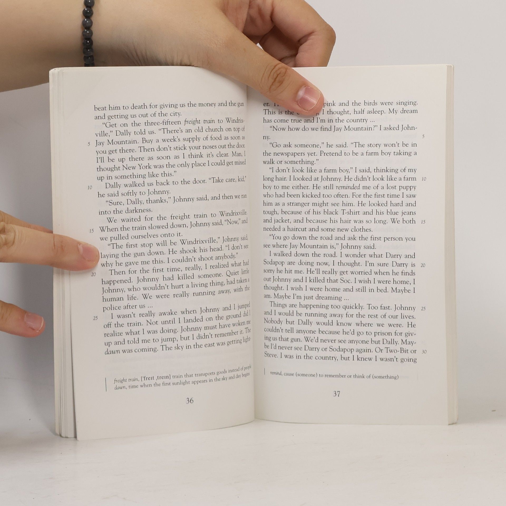 Susan E. Hinton The Outsiders