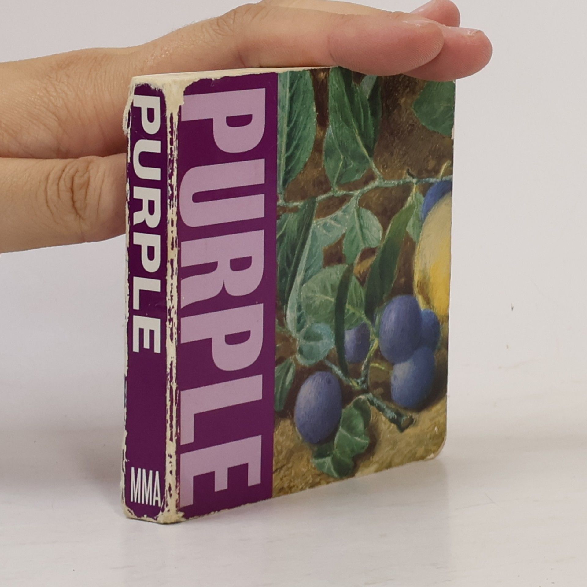 Kolektiv autorů Purple