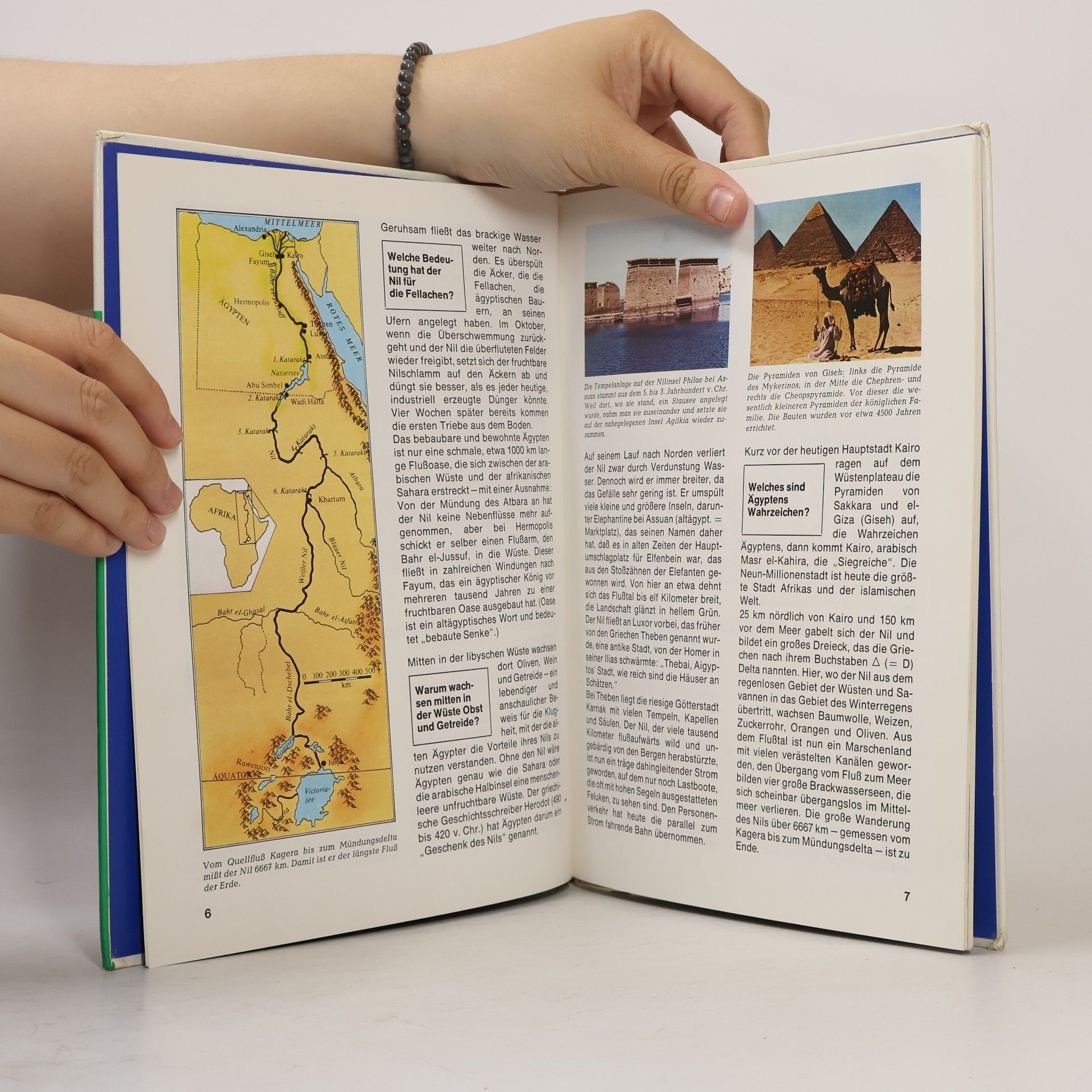 Dieter Kurth Das Alte Ägypten
