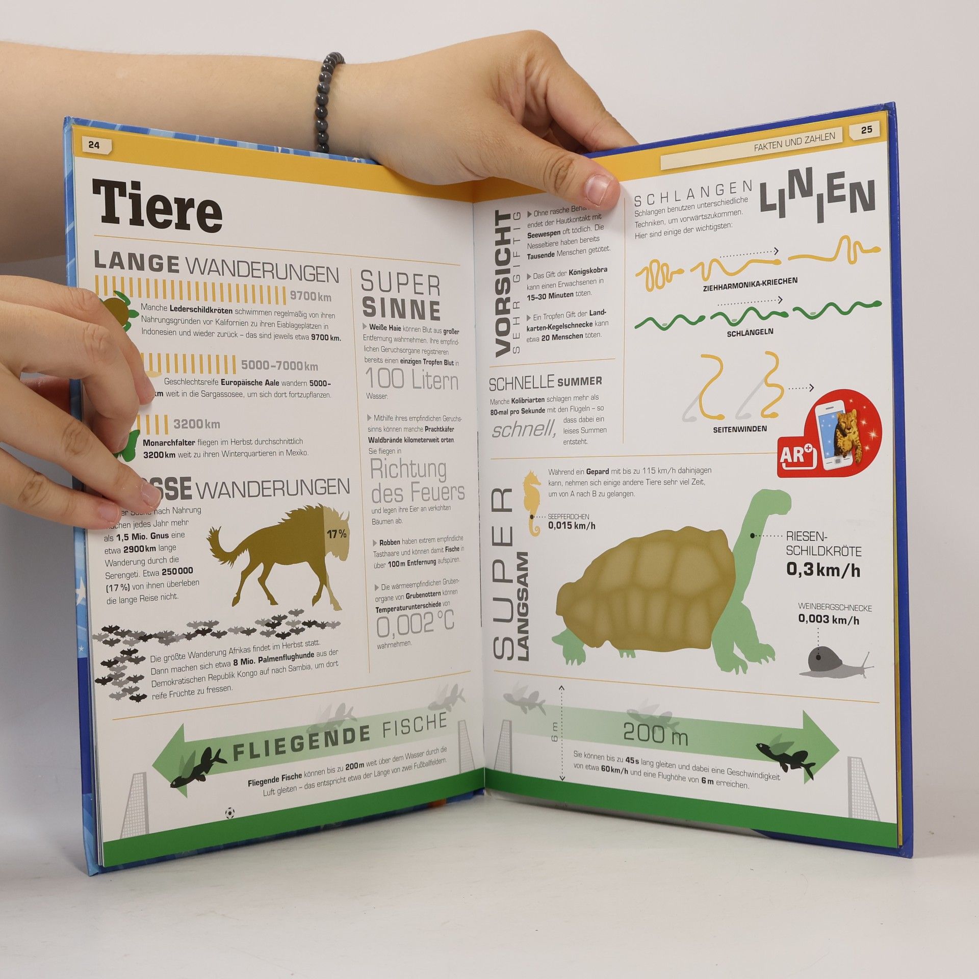Autorenkollektiv Tiersche Rekorde
