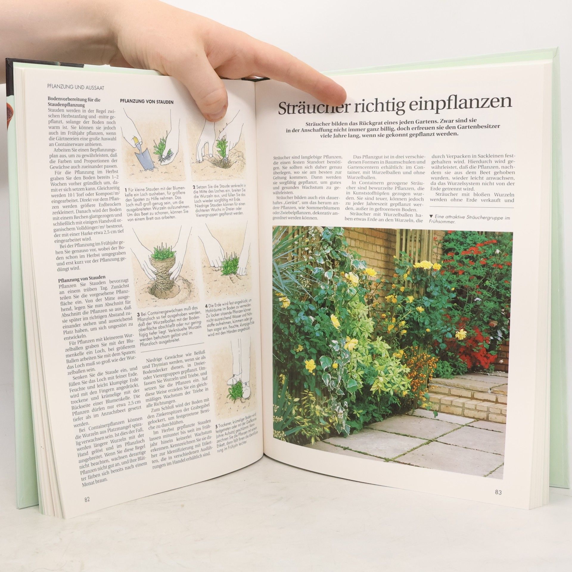 Sigrid Blank Gartenarbeit leichtgemacht