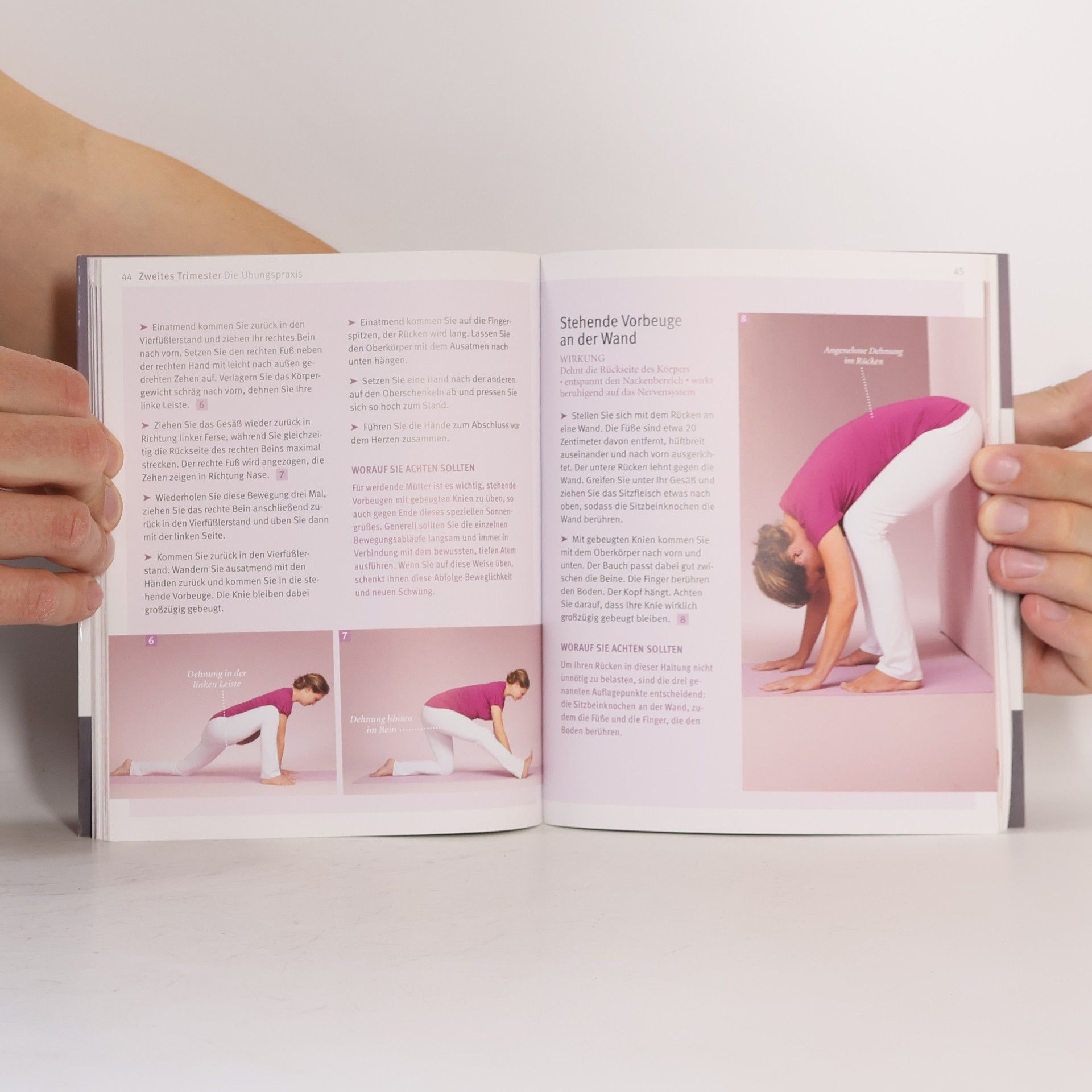 Patricia Thielemann-Kapell Yoga in der Schwangerschaft