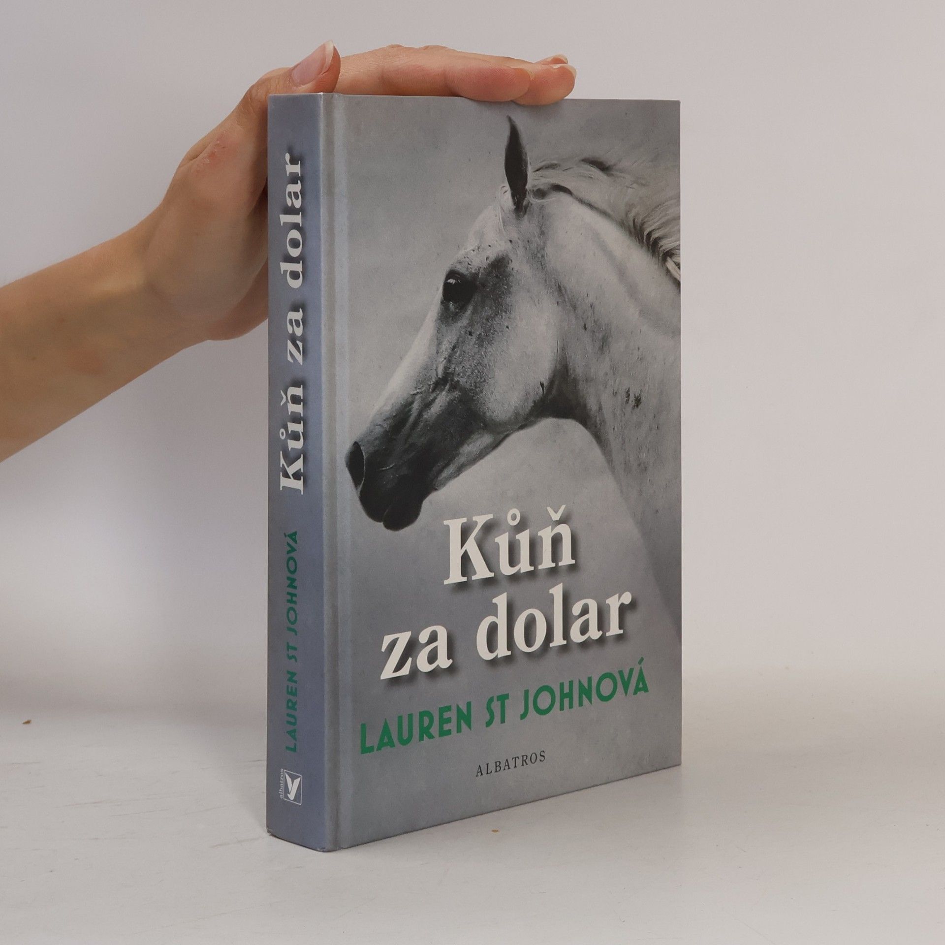 Lauren St. John Kůň za dolar