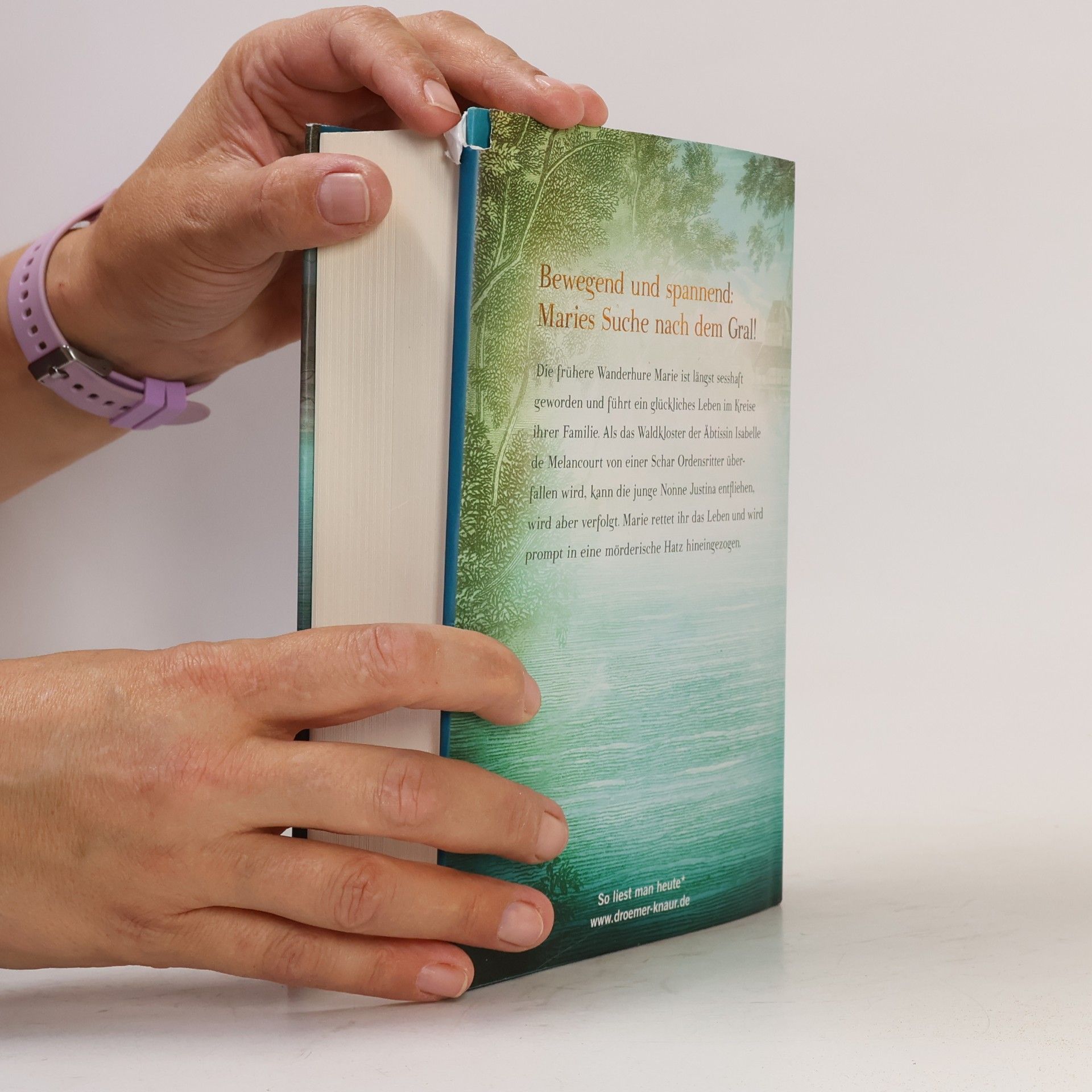 Iny Lorentz Die List der Wanderhure