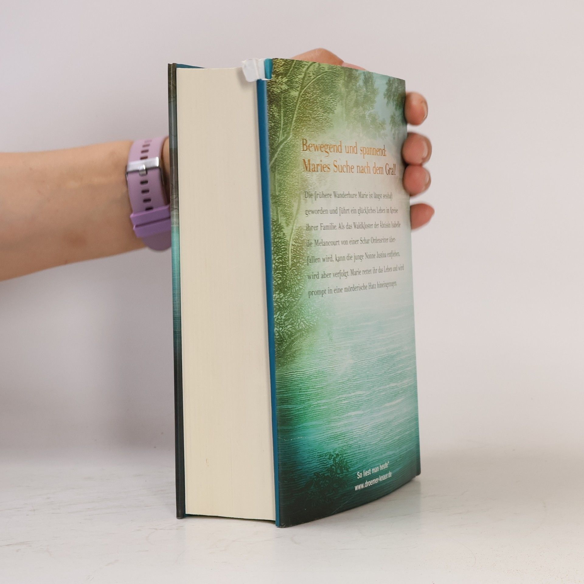 Iny Lorentz Die List der Wanderhure