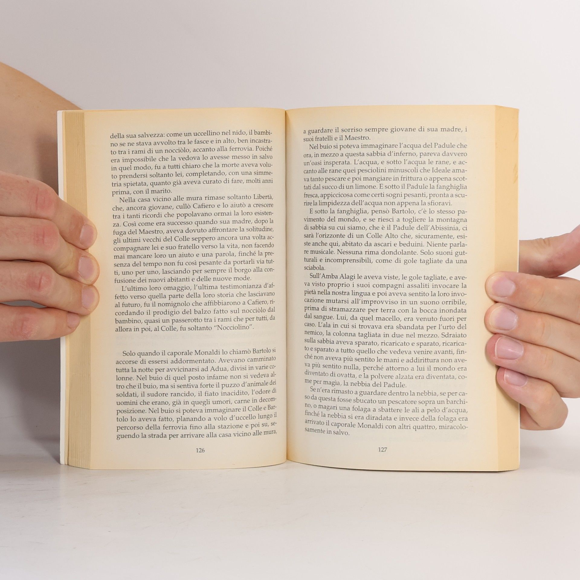 Ugo Riccarelli Oscar Bestsellers - 1561: Il dolore perfetto