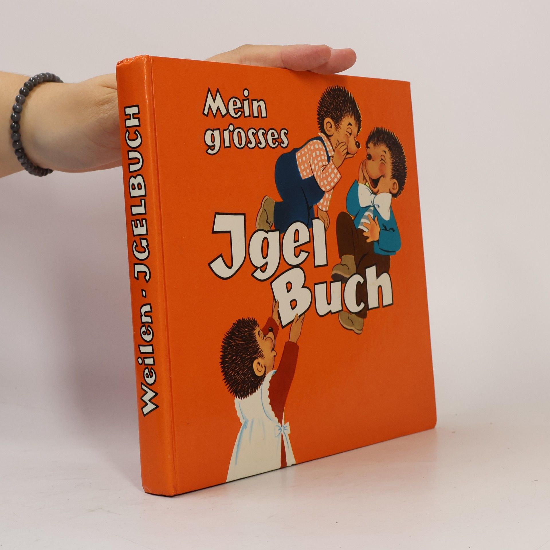 Autorenkollektiv Mein grosses Igel Buch