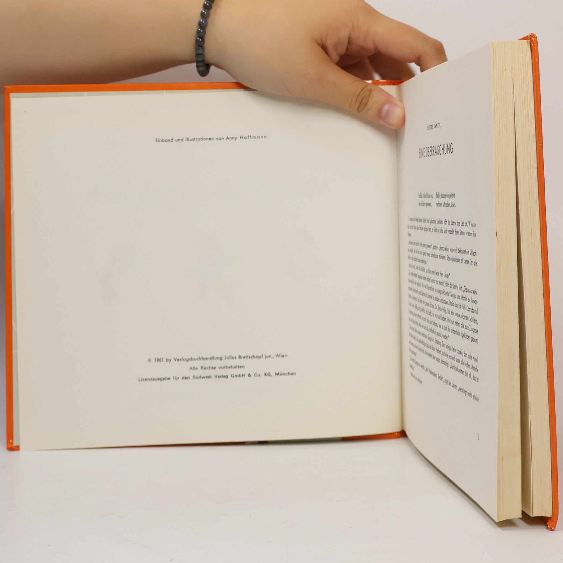 Autorenkollektiv Mein grosses Igel Buch