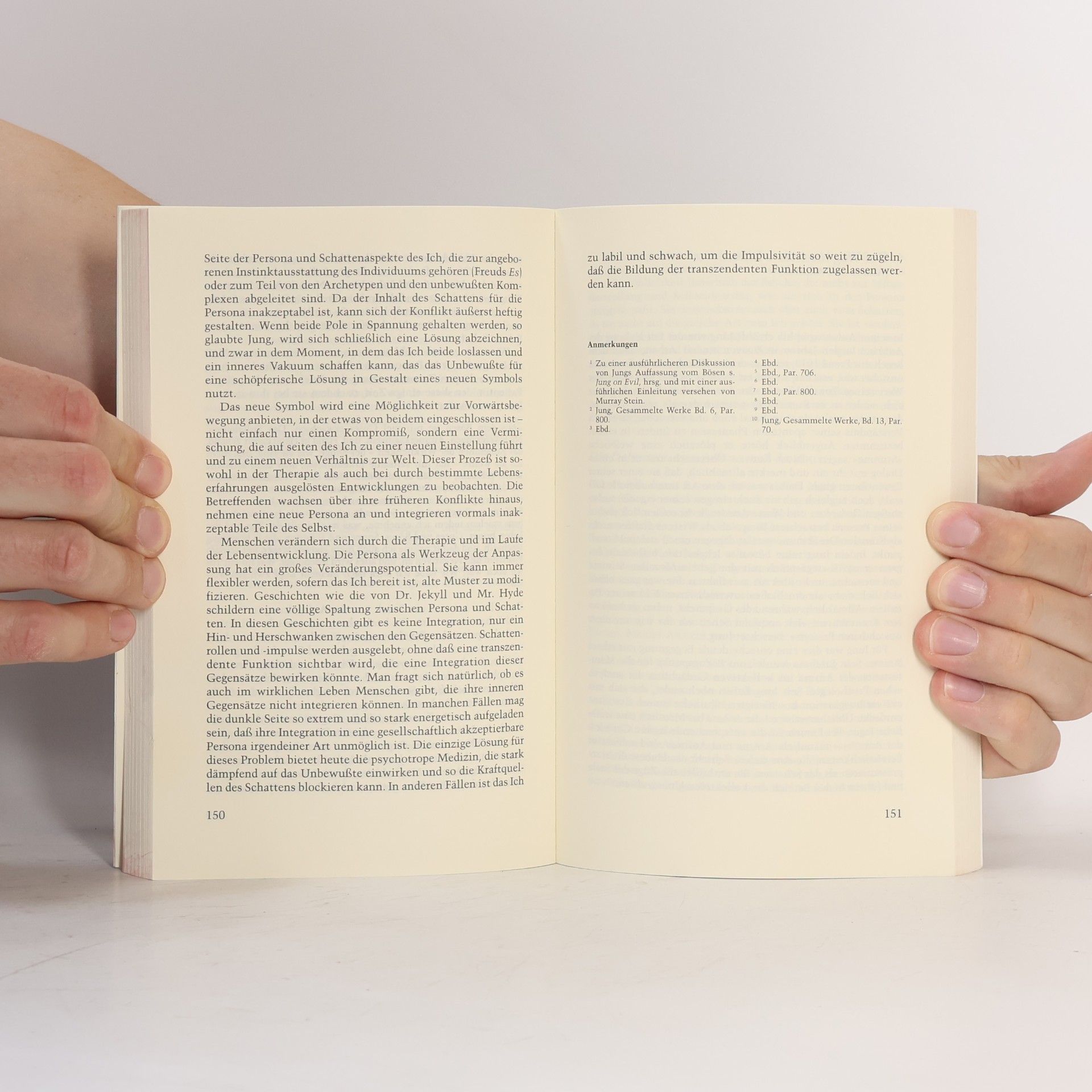 Murray B. Stein C.G. Jungs Landkarte der Seele