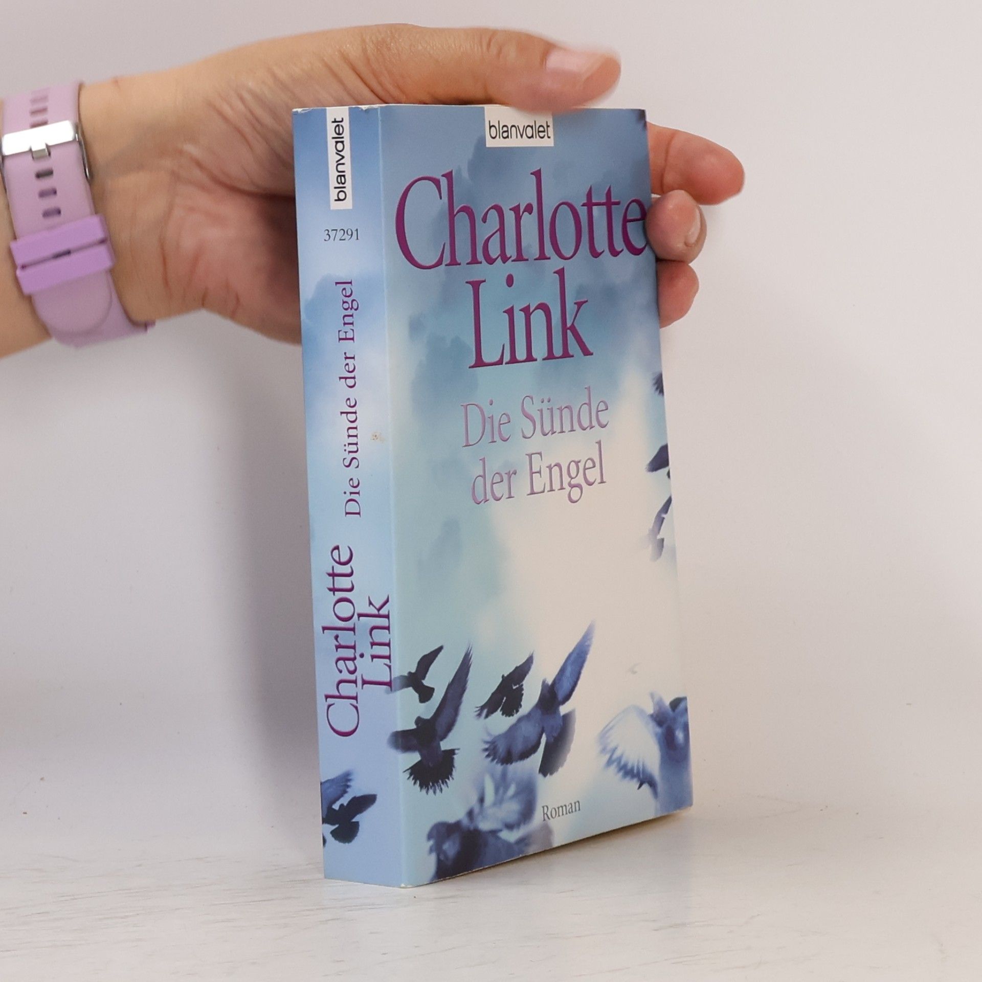 Charlotte Link Die Sünde der Engel