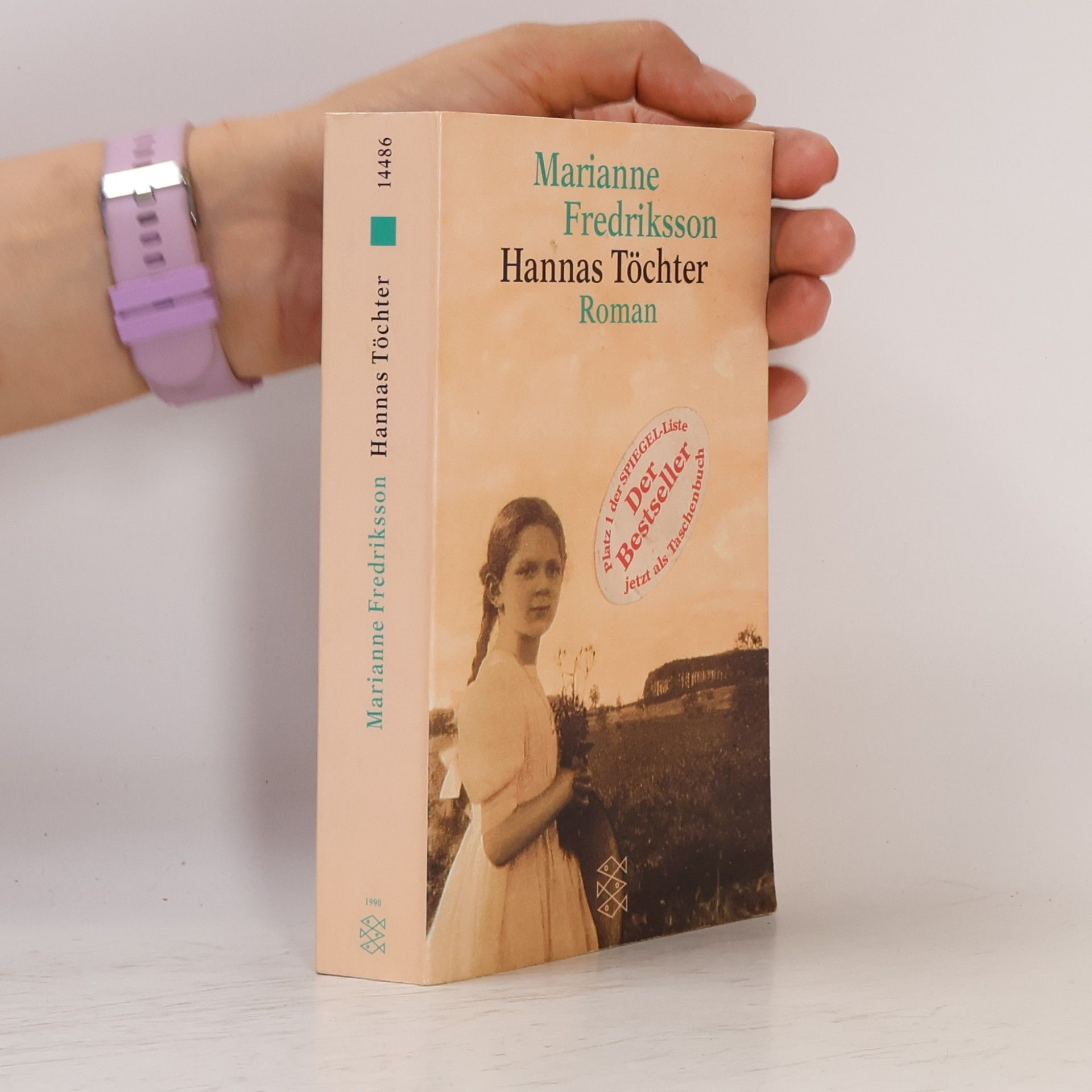 Marianne Fredriksson Hannas Töchter