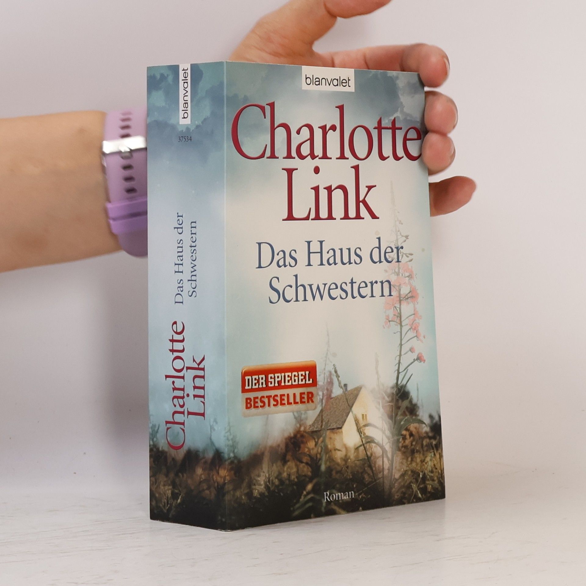 Charlotte Link Das Haus der Schwestern