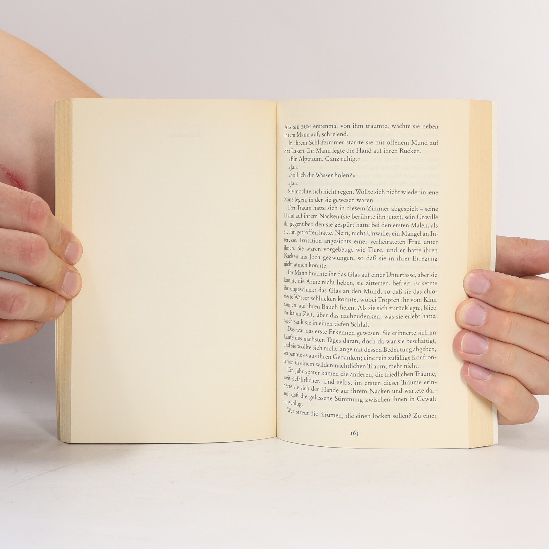 Michael Ondaatje Der englische Patient