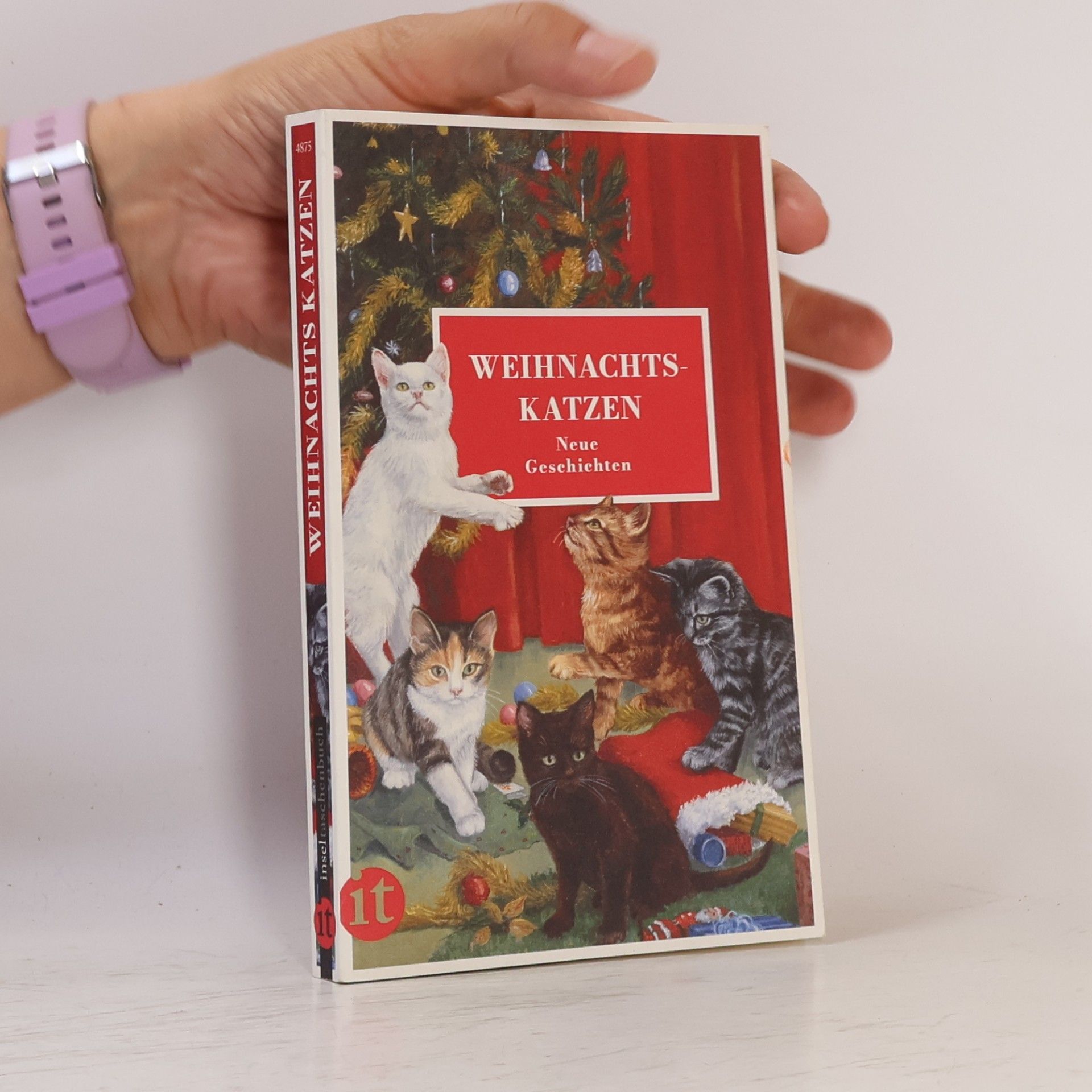 Gesine Dammel Weihnachtskatzen