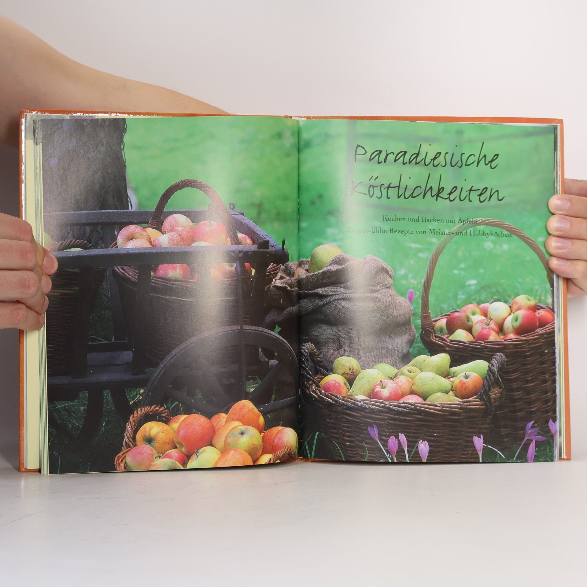 Eckart Brandt Mein großes Apfelbuch