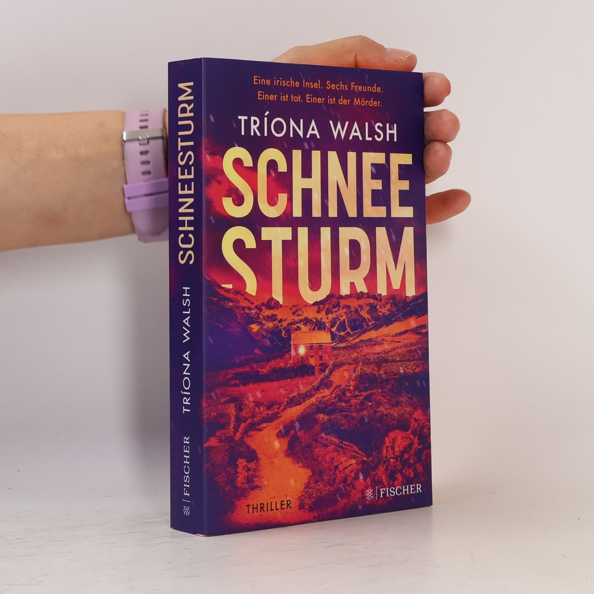 Tríona Walsh Schneesturm