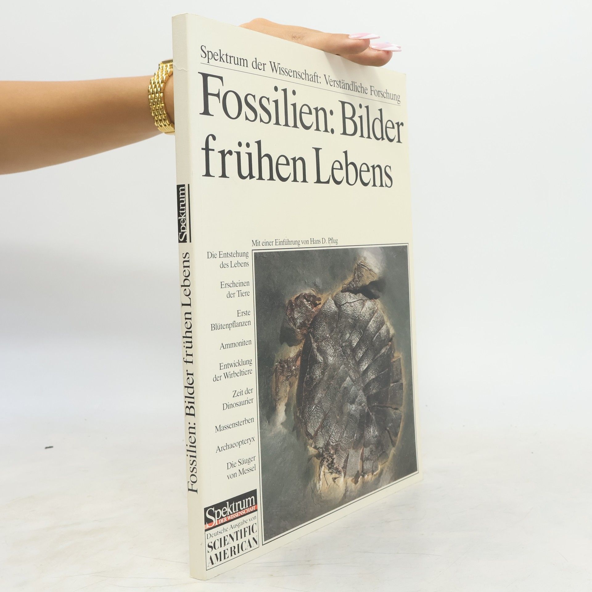 Hans D. Pflug Spektrum der Wissenschaft: Fossilien