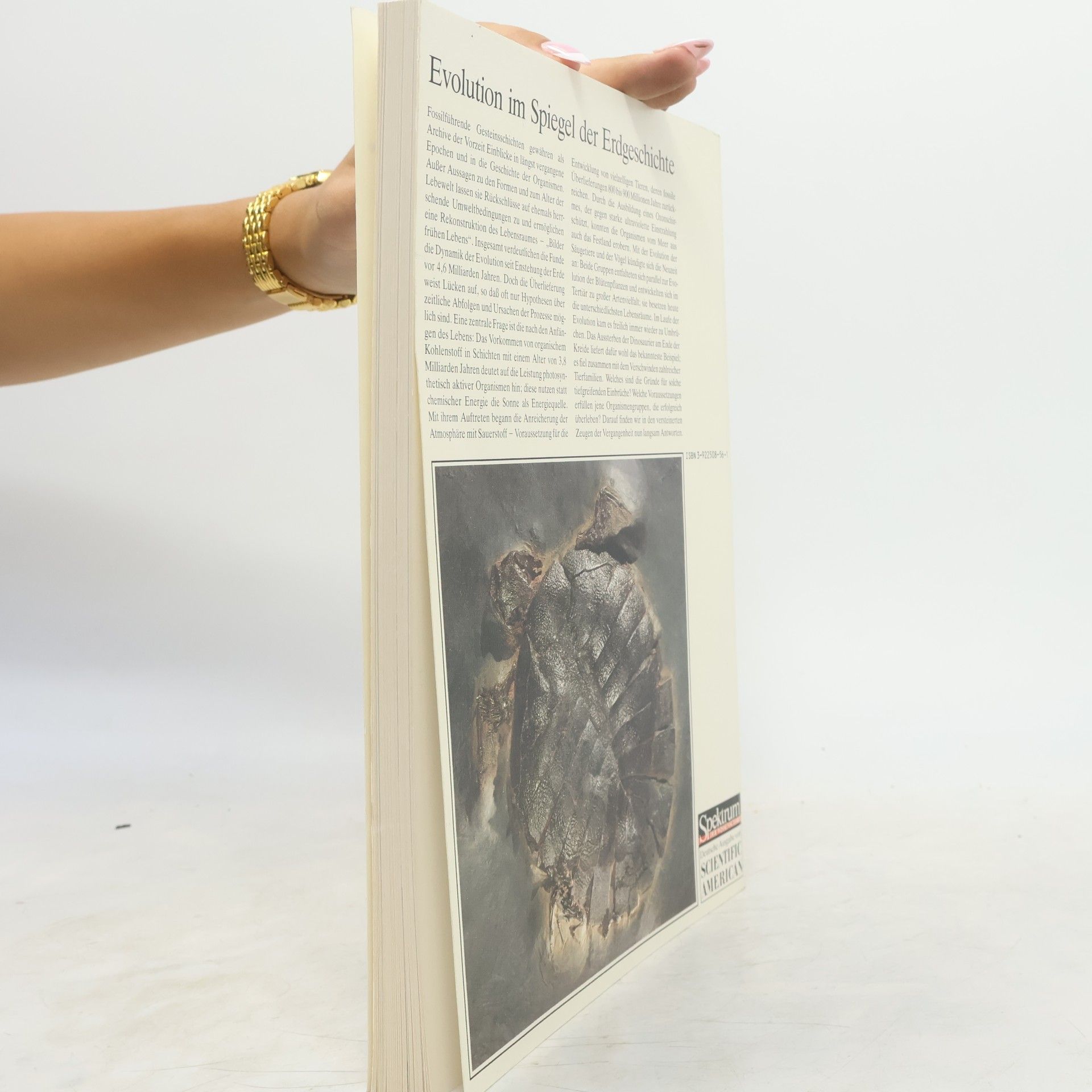 Hans D. Pflug Spektrum der Wissenschaft: Fossilien