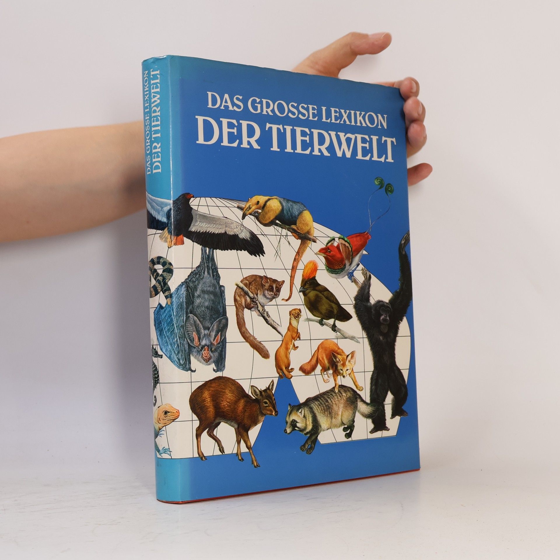 Elena Marcon Das grosse Lexikon der Tierwelt