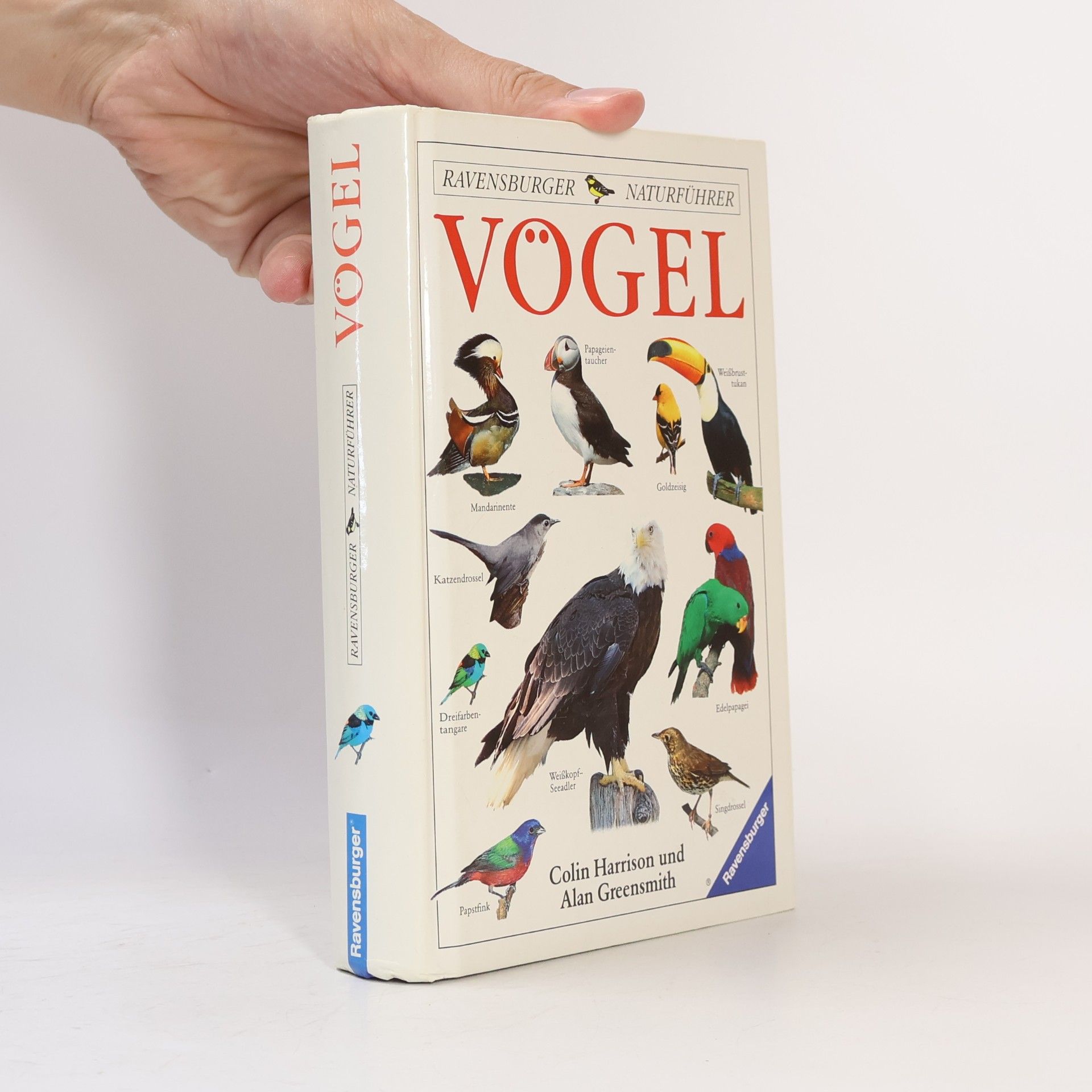 Colin James Oliver Harrison Vögel