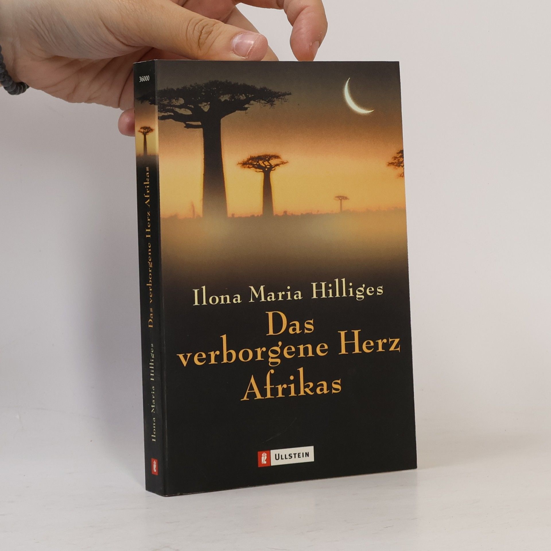 Ilona Maria Hilliges Das verborgene Herz Afrikas