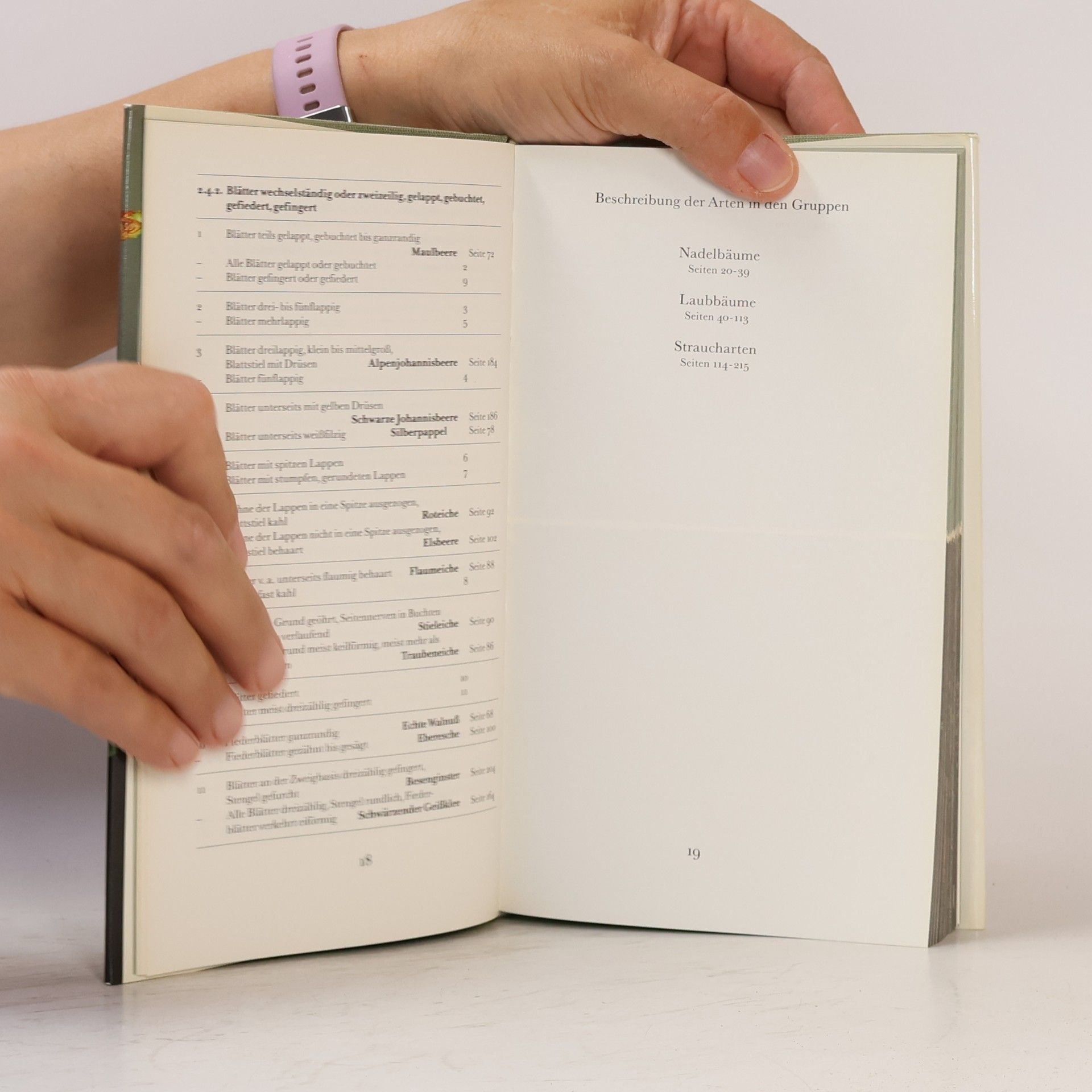 Autorenkollektiv Heimische Bäume und Sträucher Mitteleuropas